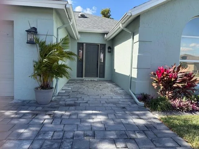a potted plant sitting in front of a house