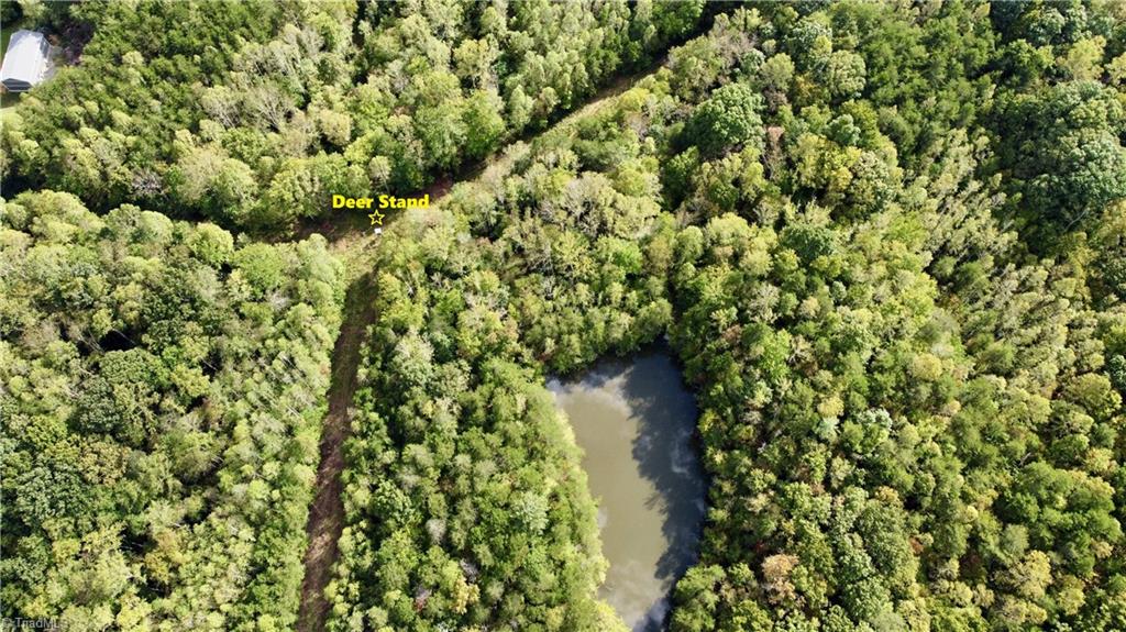Tbd Johnson Road Mount Airy, NC 27030 - Photo 11 of 31 Deer Stand Location