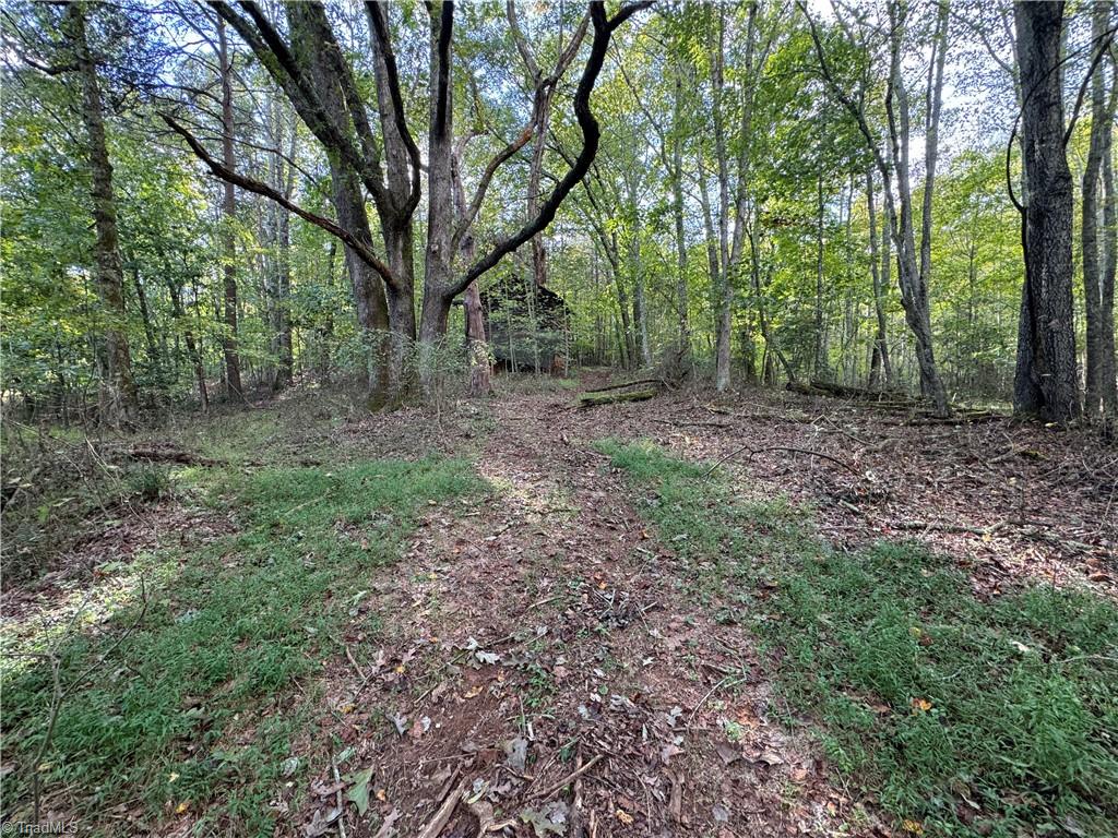 Tbd Johnson Road Mount Airy, NC 27030 - Photo 16 of 31