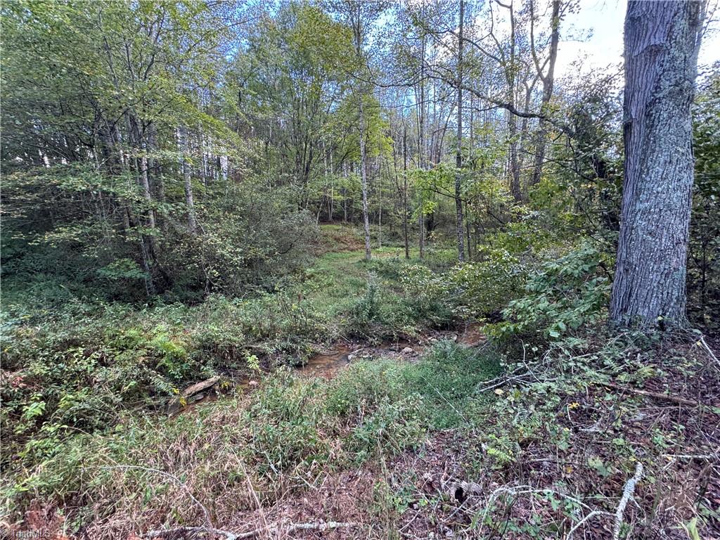Tbd Johnson Road Mount Airy, NC 27030 - Photo 21 of 31