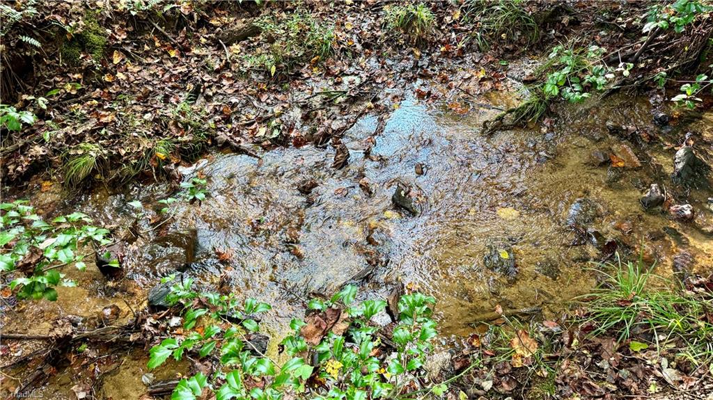 Tbd Johnson Road Mount Airy, NC 27030 - Photo 22 of 31