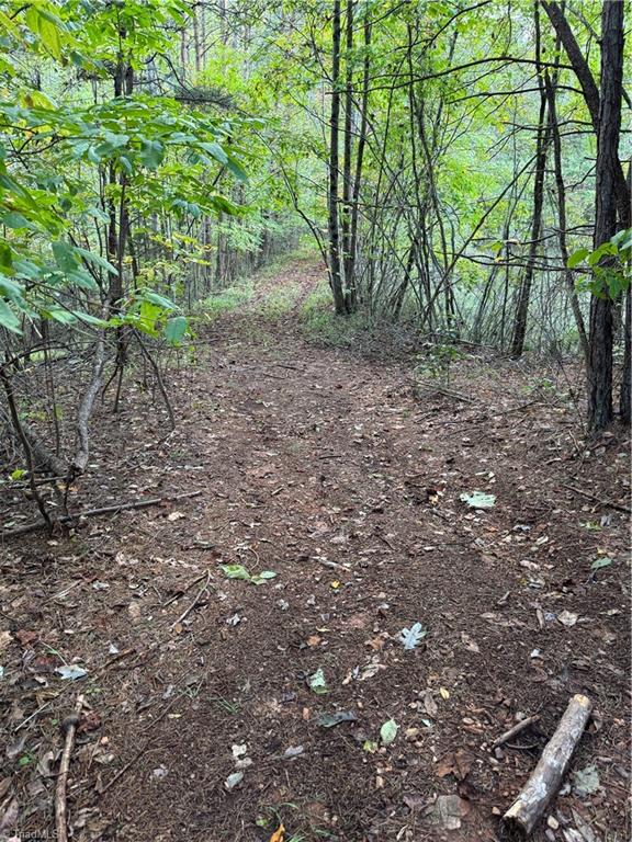 Tbd Johnson Road Mount Airy, NC 27030 - Photo 25 of 31 Pond Dam Trail