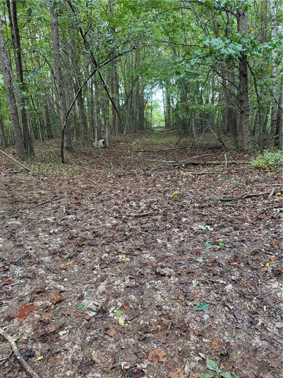 Tbd Johnson Road Mount Airy, NC 27030 - Photo 26 of 31