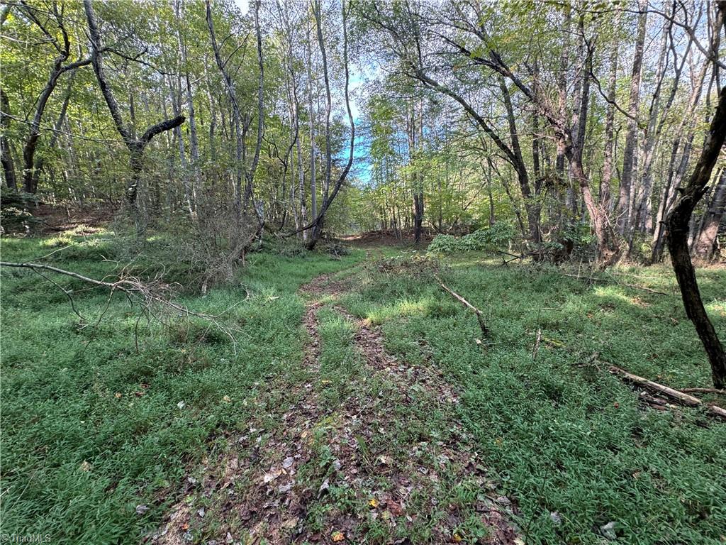 Tbd Johnson Road Mount Airy, NC 27030 - Photo 27 of 31