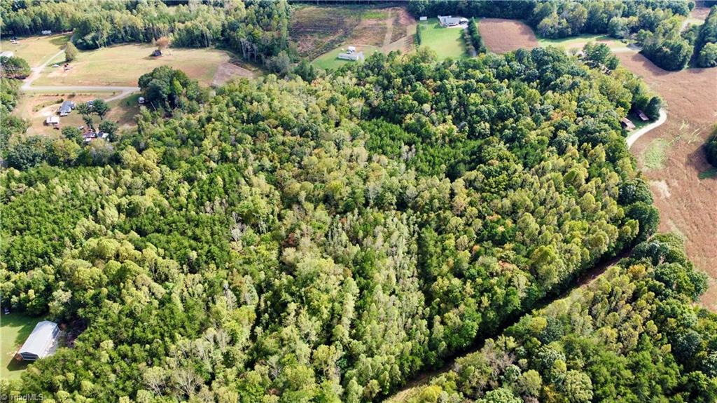 Tbd Johnson Road Mount Airy, NC 27030 - Photo 30 of 31 Property Facing Johnson Rd.