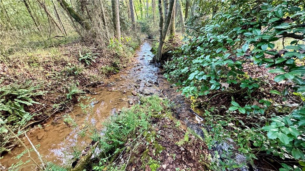 Tbd Johnson Road Mount Airy, NC 27030 - Photo 3 of 31