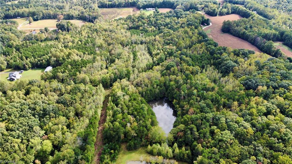 Tbd Johnson Road Mount Airy, NC 27030 - Photo 31 of 31 Property Facing Johnson Rd.