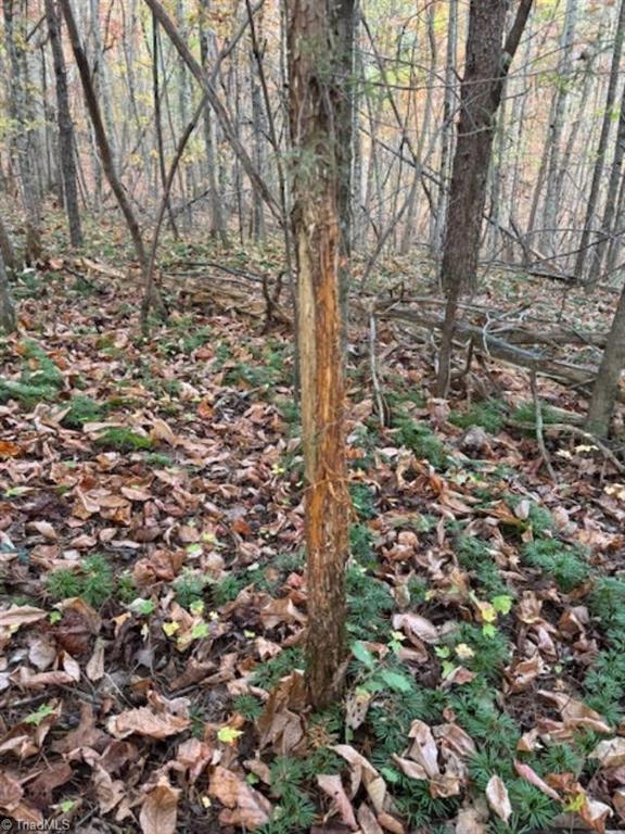 Tbd Johnson Road Mount Airy, NC 27030 - Photo 10 of 31