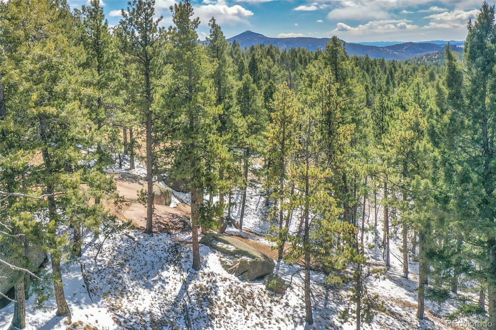 270 Southgate Road Florissant, CO 80816 - Photo 39 of 50 Gallery Image 39