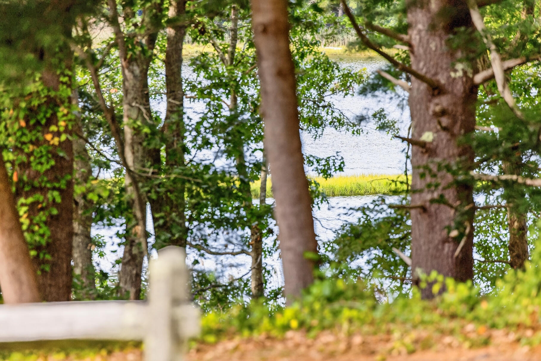 105 Bay Road Cotuit, MA 02635 - Photo 3 of 47 137_9L4A8616