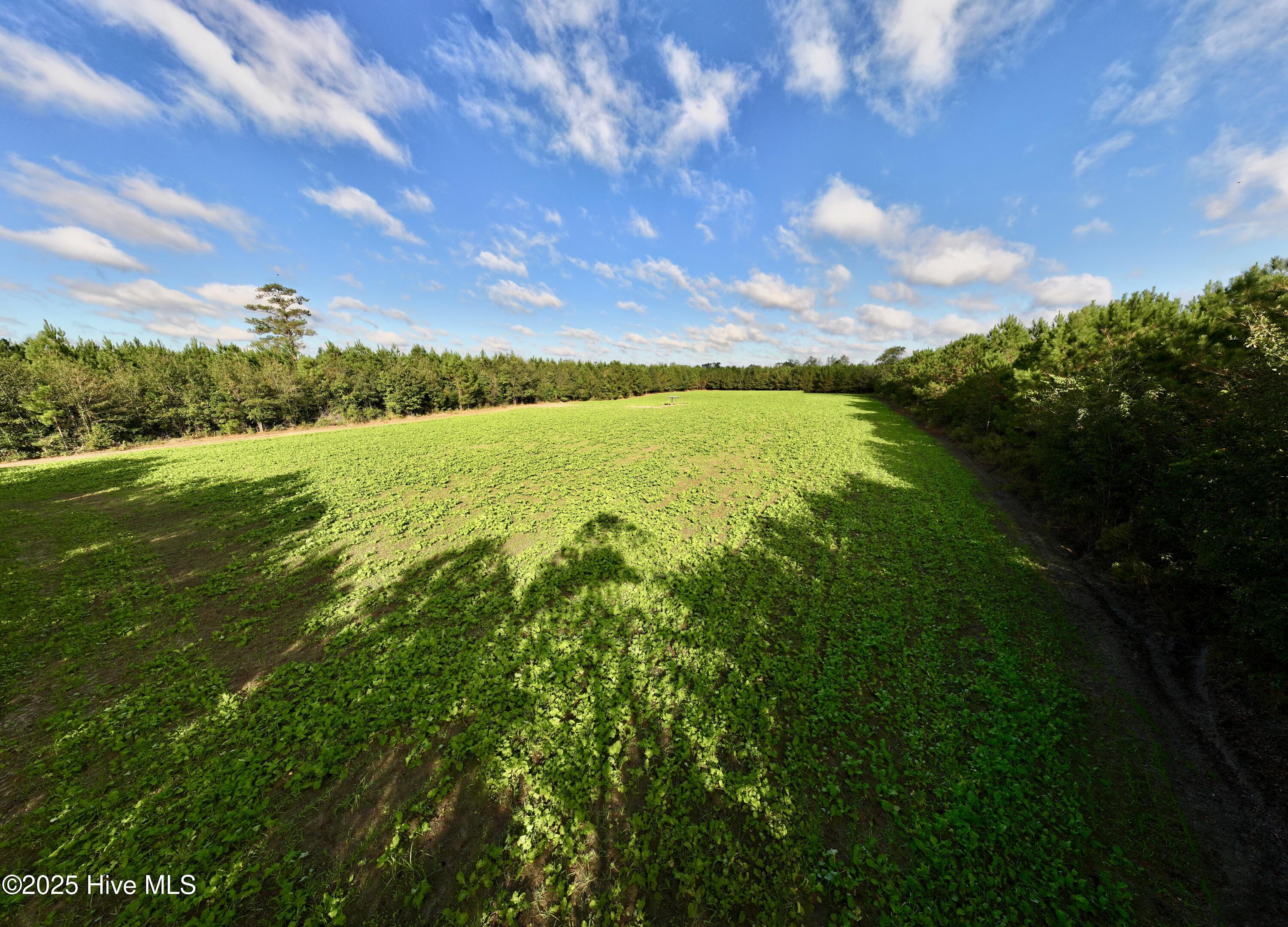 0 Atkinson Cemetery Road Atkinson, NC 28421 - Photo 11 of 73 9