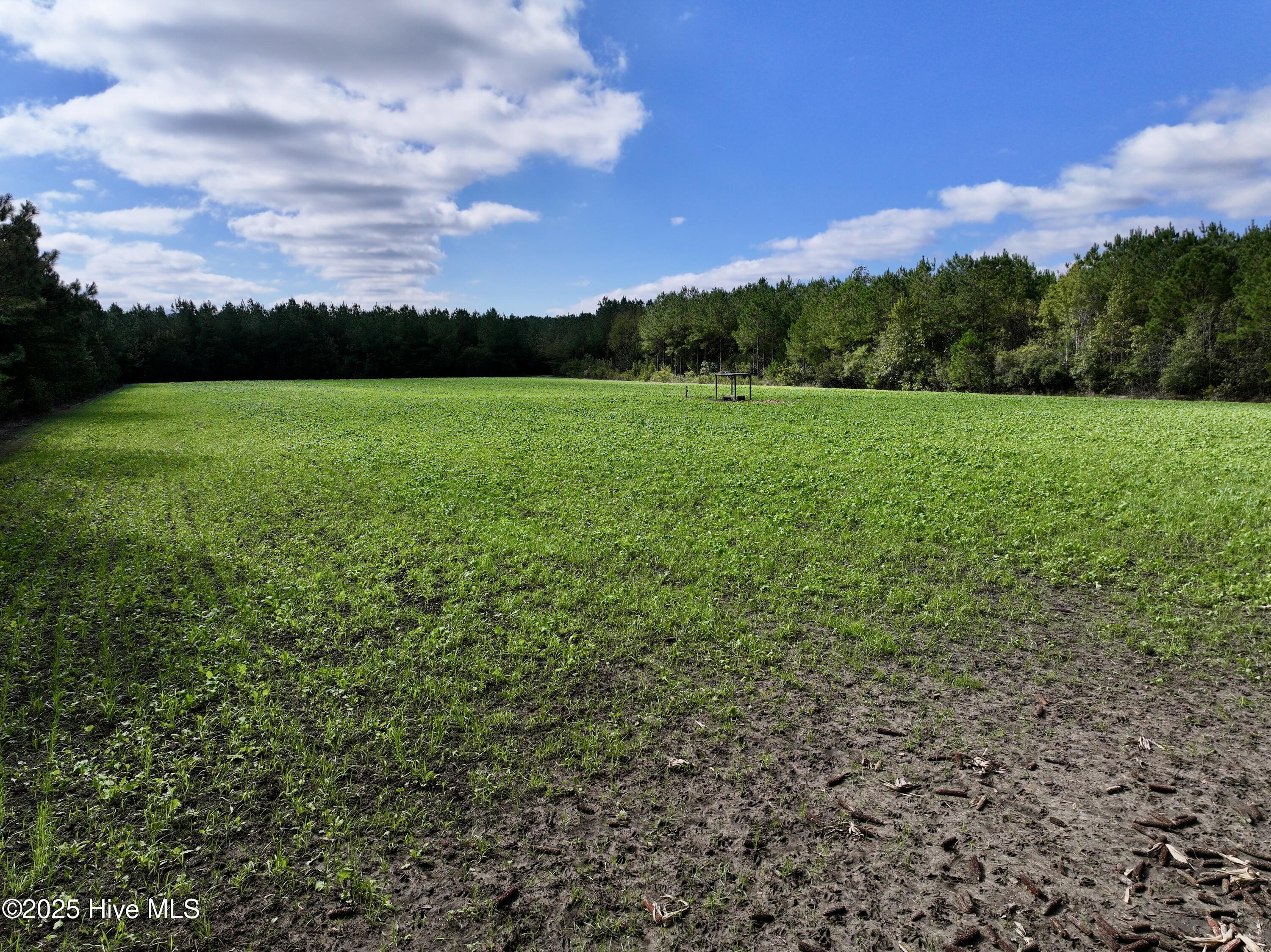 0 Atkinson Cemetery Road Atkinson, NC 28421 - Photo 12 of 73 10