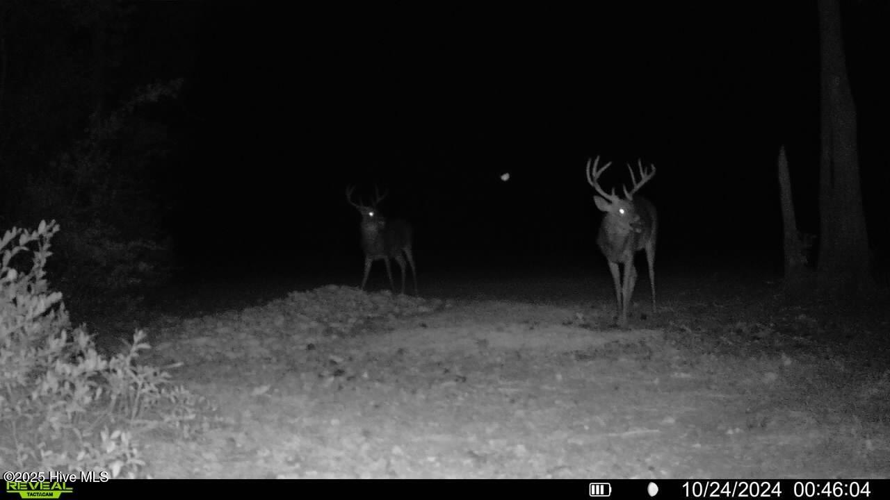 0 Atkinson Cemetery Road Atkinson, NC 28421 - Photo 13 of 73 10a