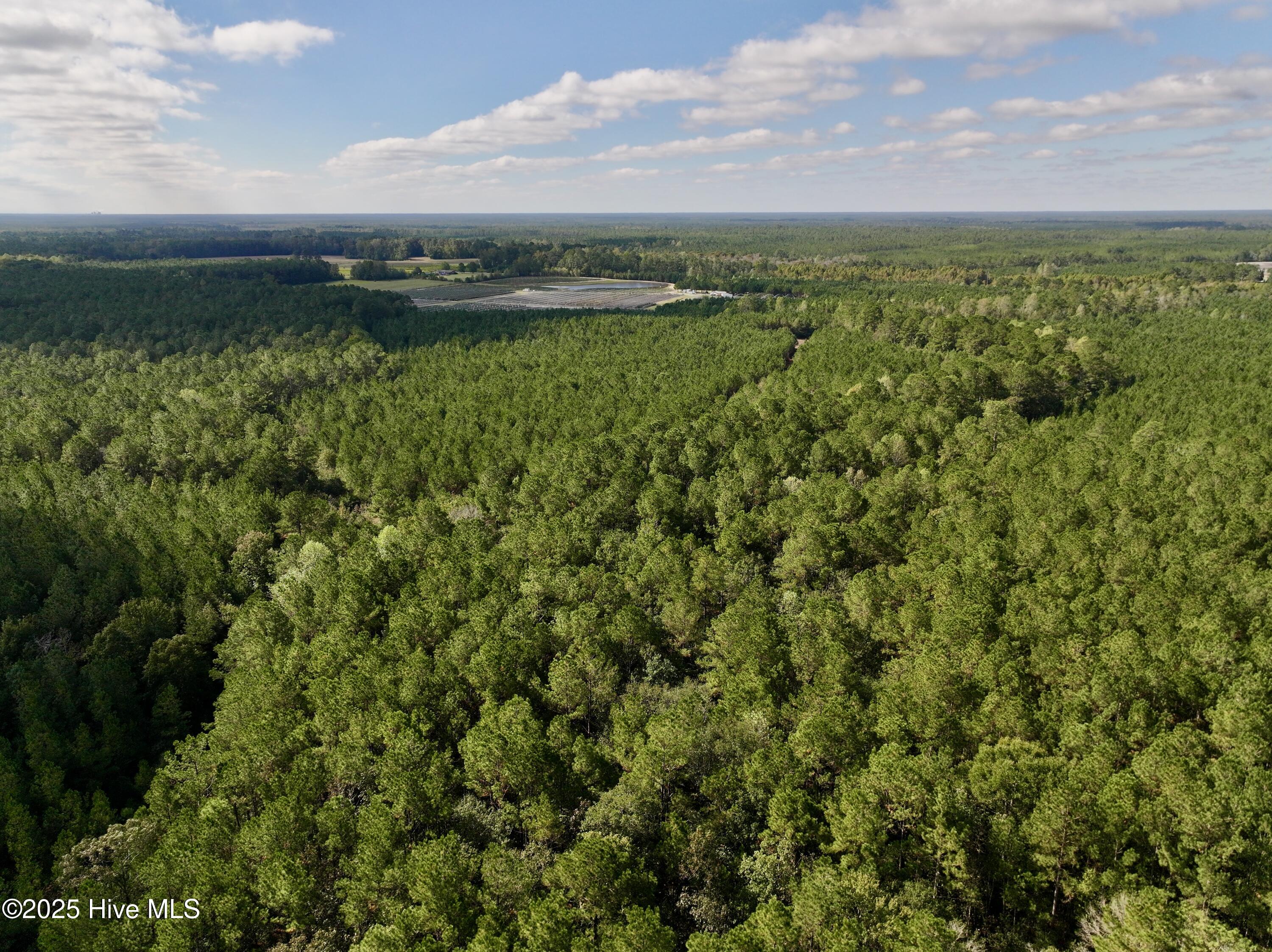 0 Atkinson Cemetery Road Atkinson, NC 28421 - Photo 14 of 73 11