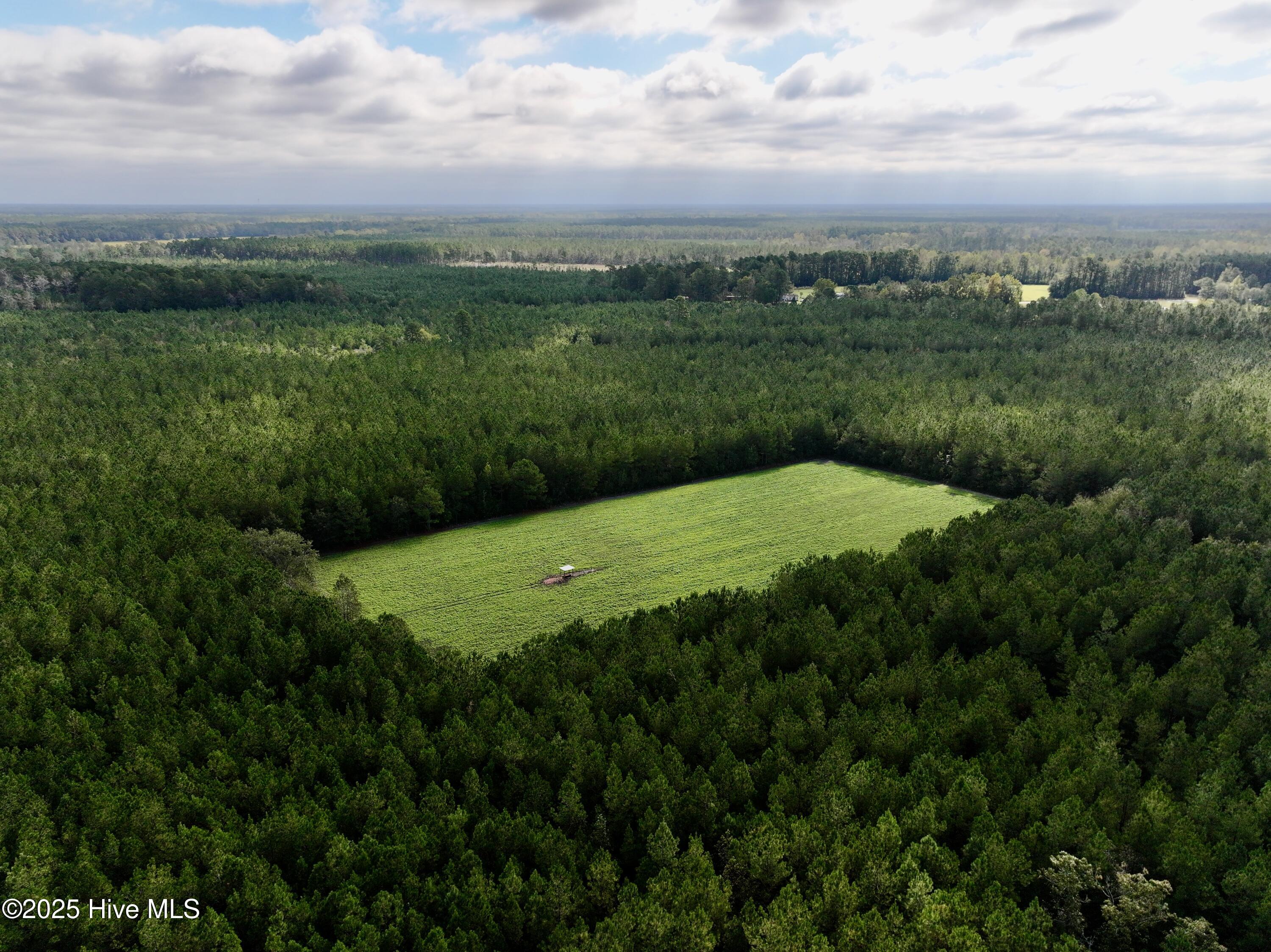 0 Atkinson Cemetery Road Atkinson, NC 28421 - Photo 15 of 73 12