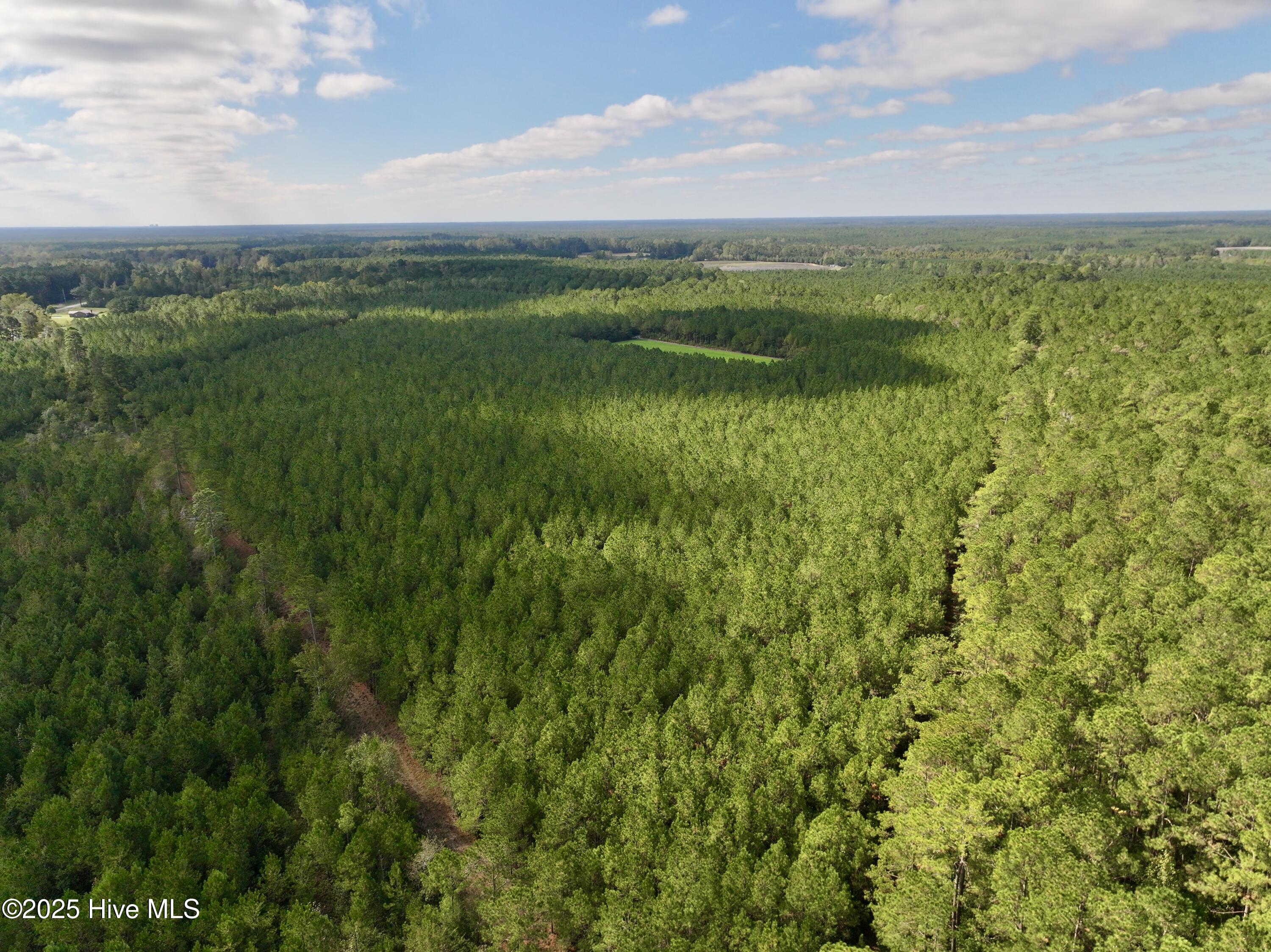 0 Atkinson Cemetery Road Atkinson, NC 28421 - Photo 16 of 73 13