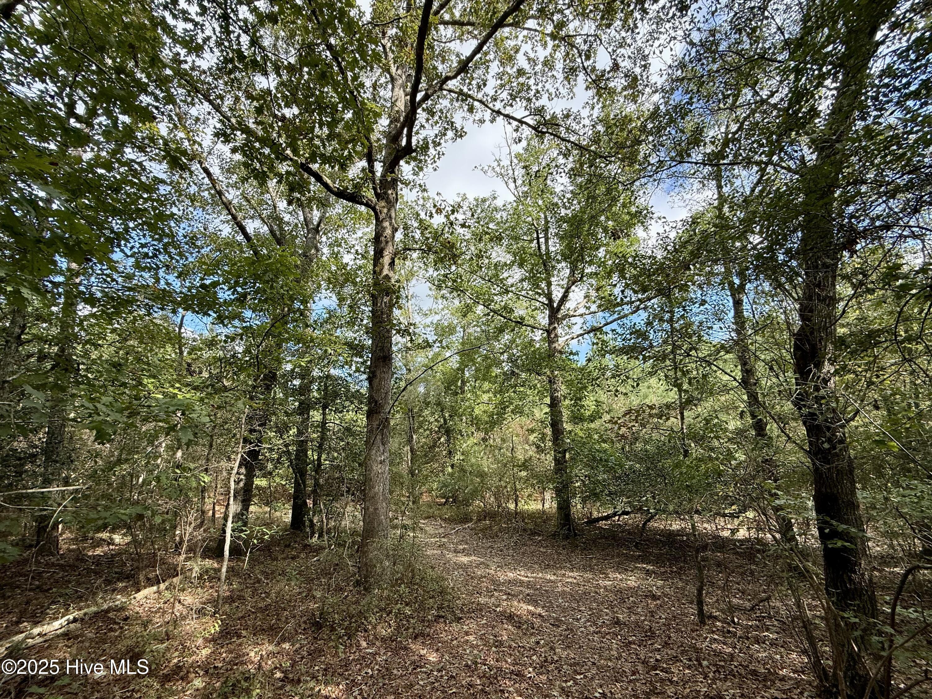 0 Atkinson Cemetery Road Atkinson, NC 28421 - Photo 17 of 73 13a