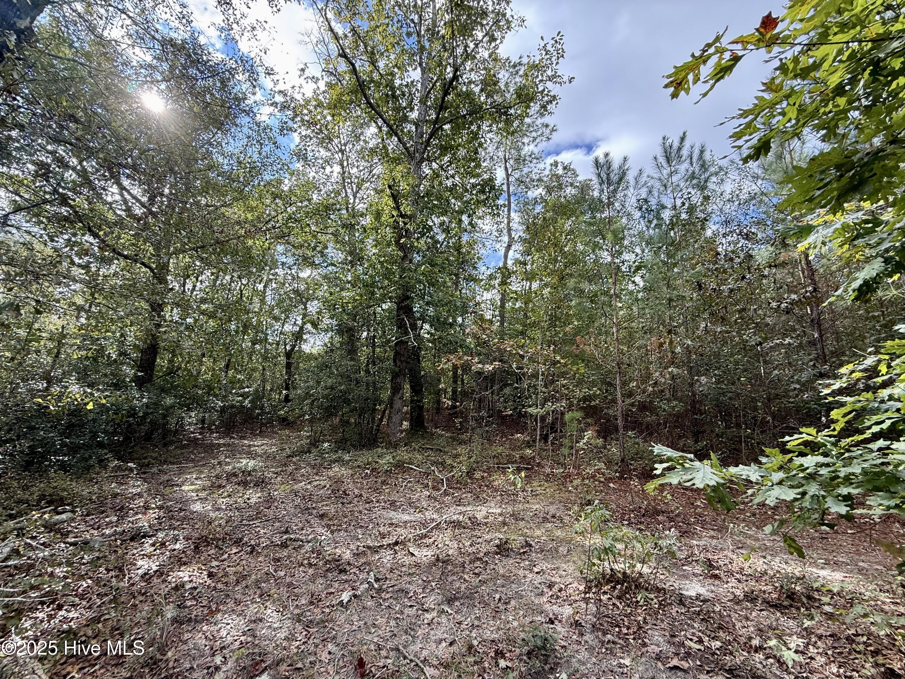 0 Atkinson Cemetery Road Atkinson, NC 28421 - Photo 18 of 73 13b