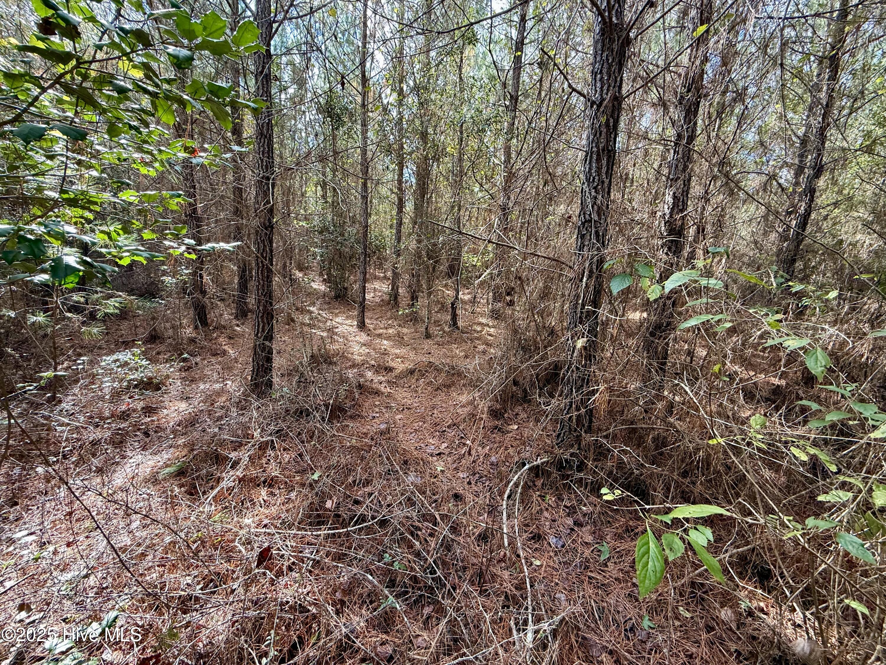 0 Atkinson Cemetery Road Atkinson, NC 28421 - Photo 19 of 73 13c