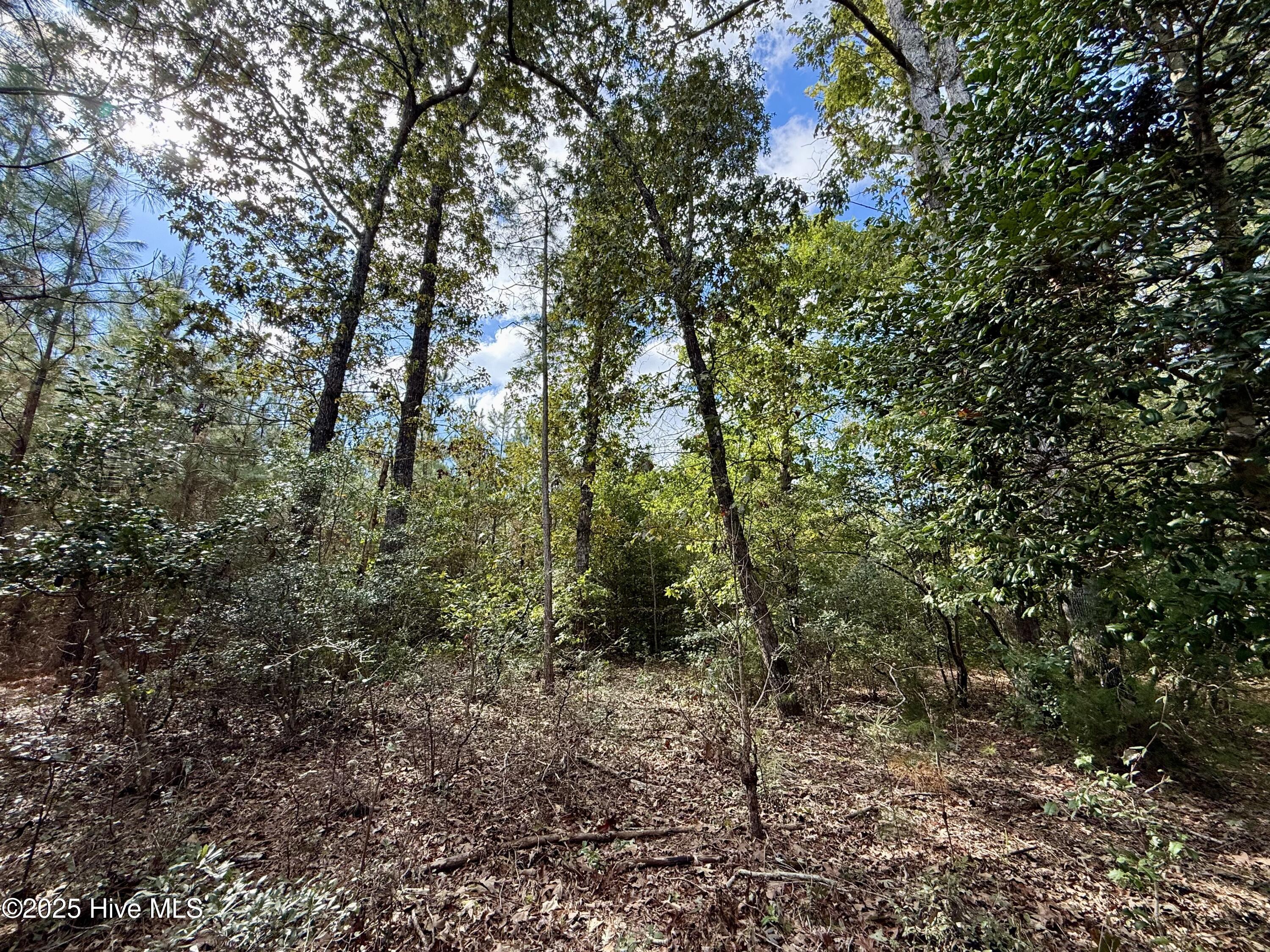0 Atkinson Cemetery Road Atkinson, NC 28421 - Photo 20 of 73 13d