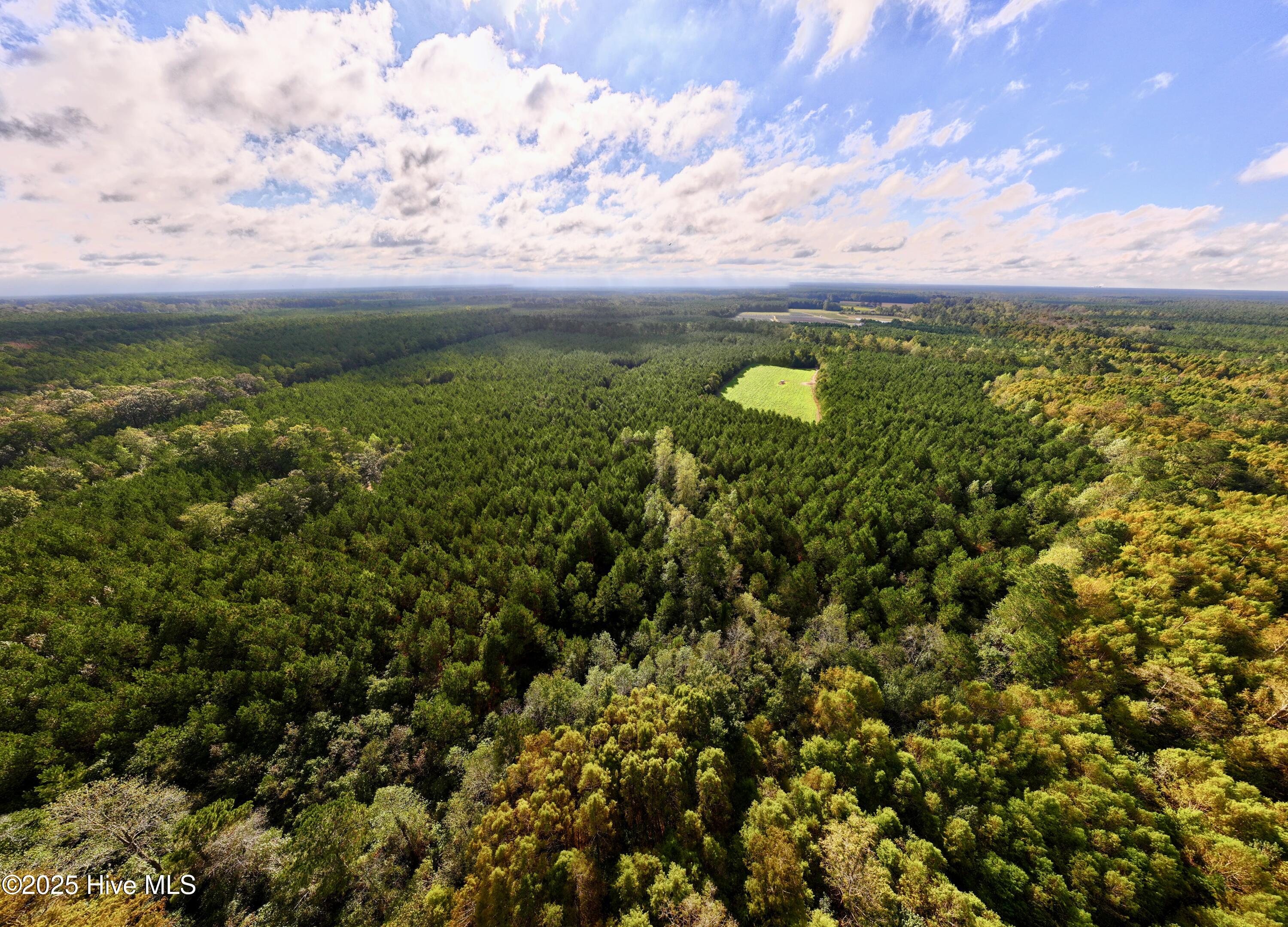 0 Atkinson Cemetery Road Atkinson, NC 28421 - Photo 2 of 73 1a