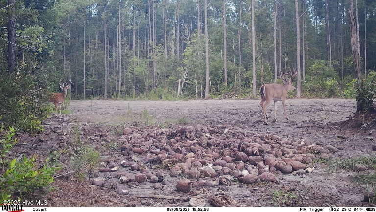 0 Atkinson Cemetery Road Atkinson, NC 28421 - Photo 22 of 73 13f