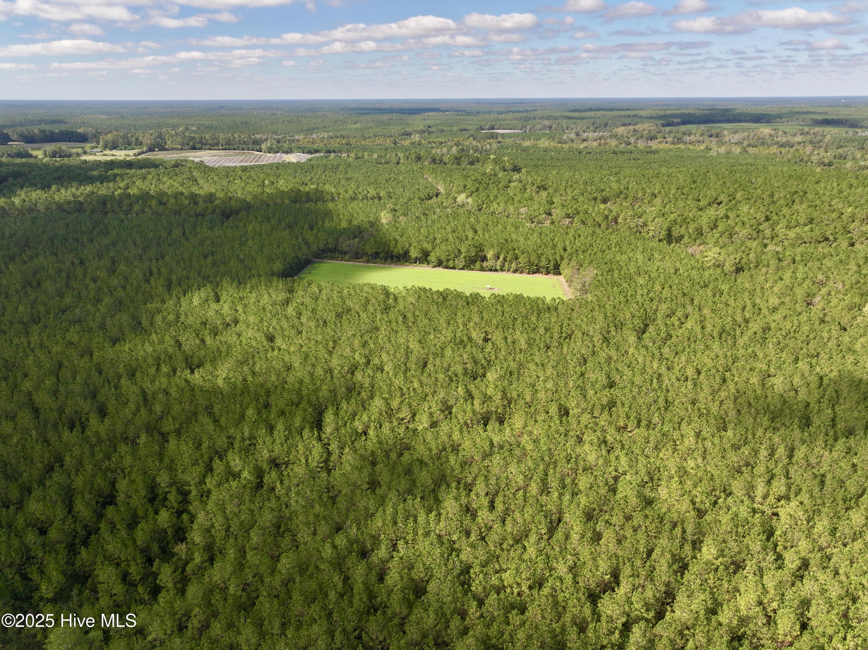 0 Atkinson Cemetery Road Atkinson, NC 28421 - Photo 23 of 73 14