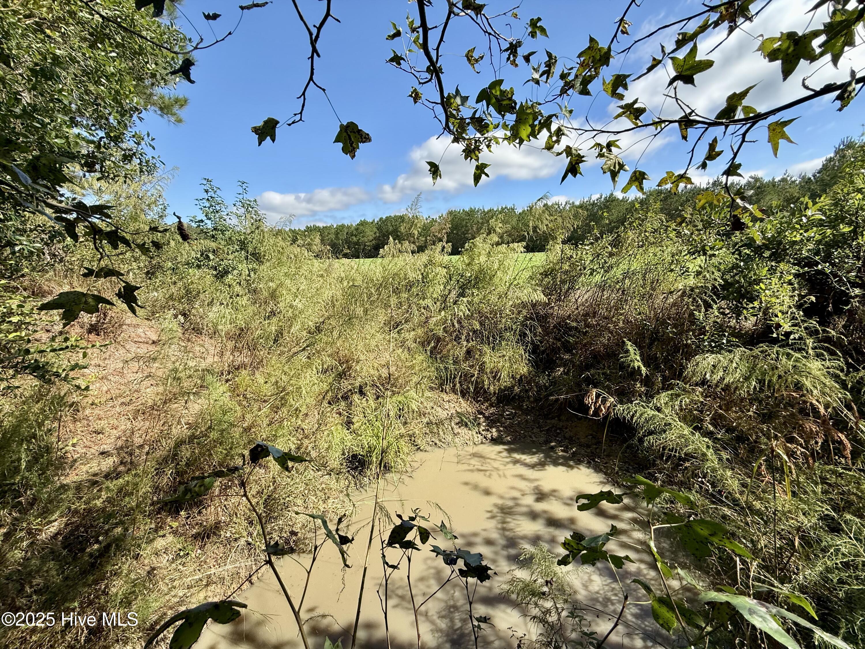 0 Atkinson Cemetery Road Atkinson, NC 28421 - Photo 24 of 73 14a