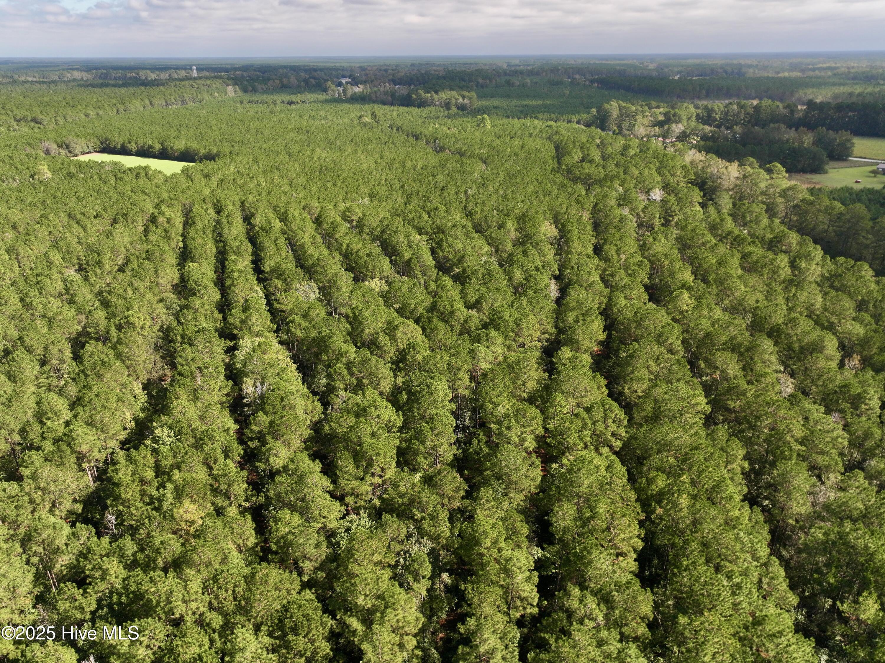 0 Atkinson Cemetery Road Atkinson, NC 28421 - Photo 26 of 73 15