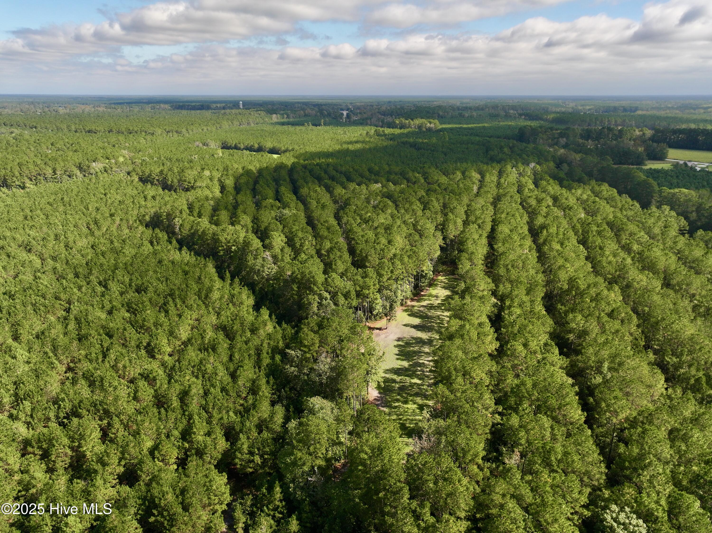 0 Atkinson Cemetery Road Atkinson, NC 28421 - Photo 27 of 73 15a