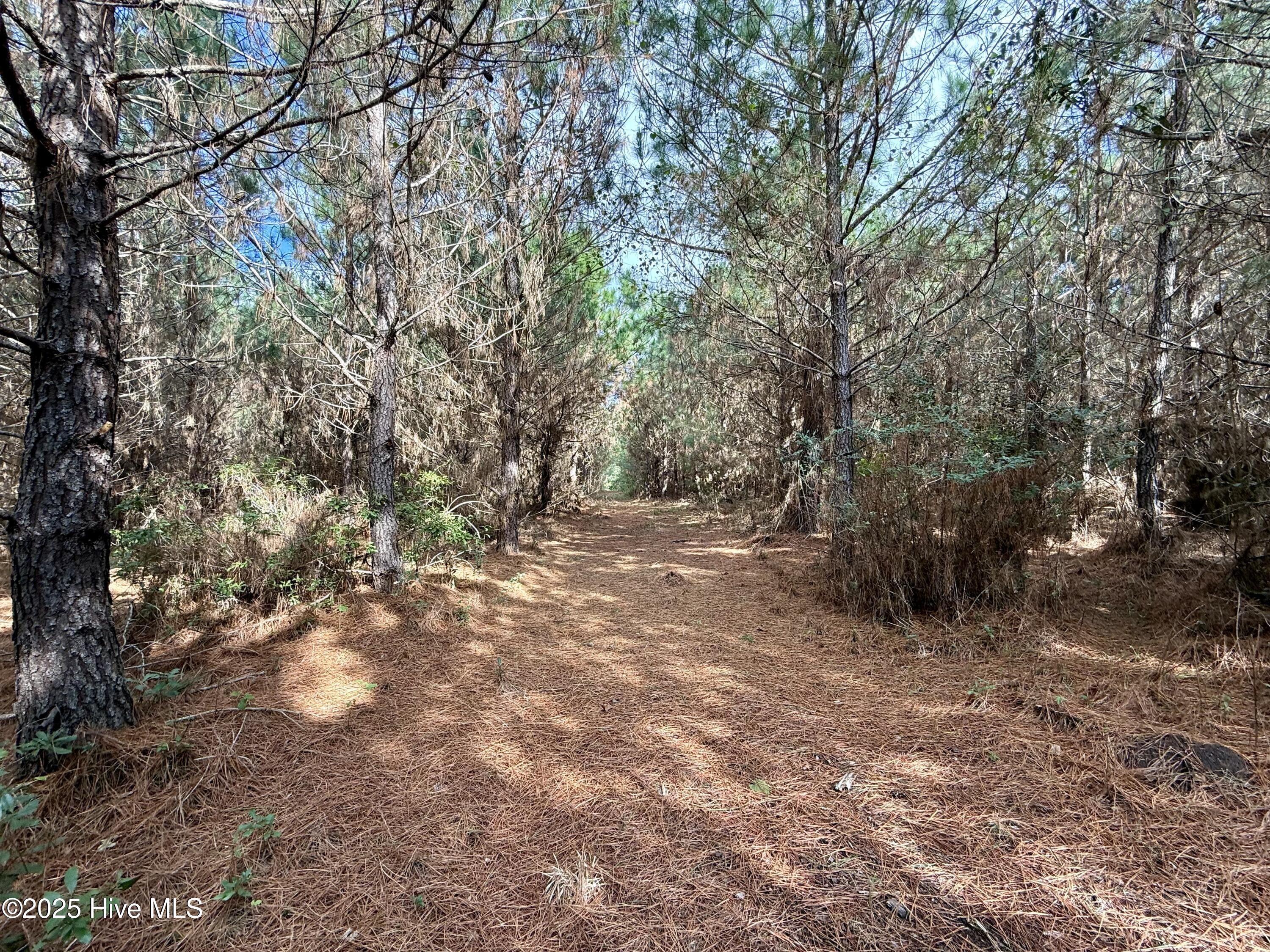 0 Atkinson Cemetery Road Atkinson, NC 28421 - Photo 30 of 73 15d