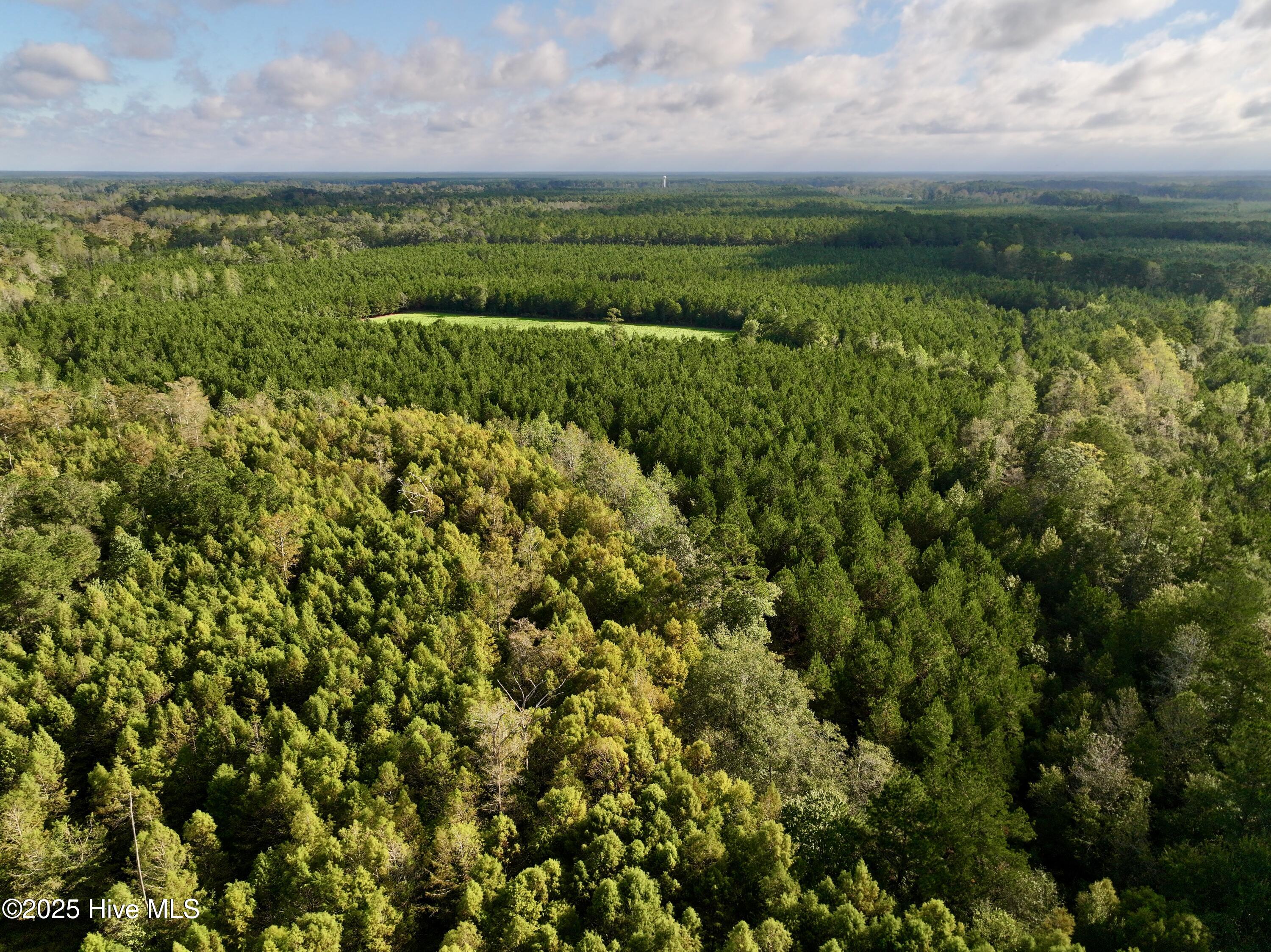 0 Atkinson Cemetery Road Atkinson, NC 28421 - Photo 3 of 73 2