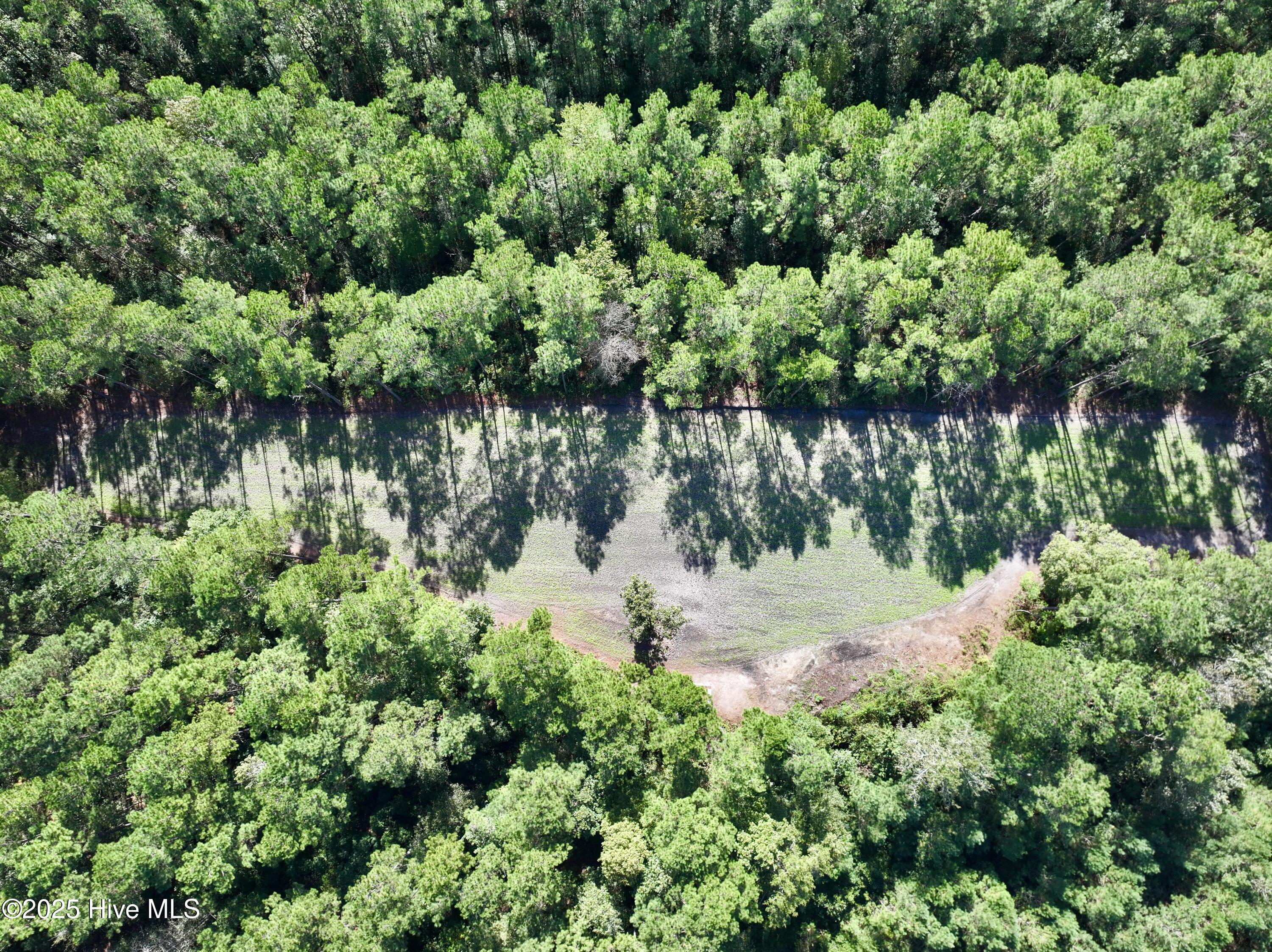 0 Atkinson Cemetery Road Atkinson, NC 28421 - Photo 31 of 73 16