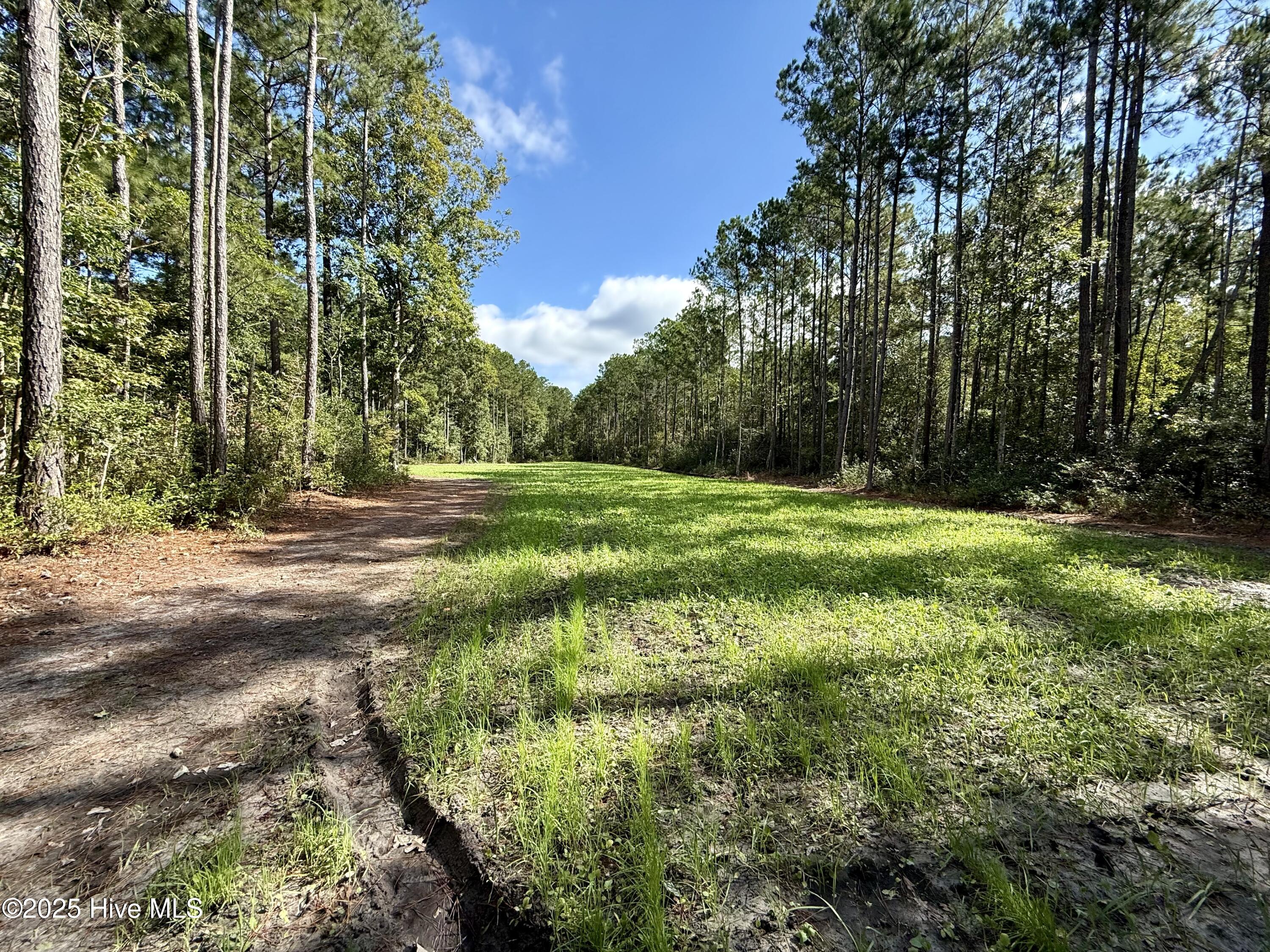 0 Atkinson Cemetery Road Atkinson, NC 28421 - Photo 32 of 73 16a