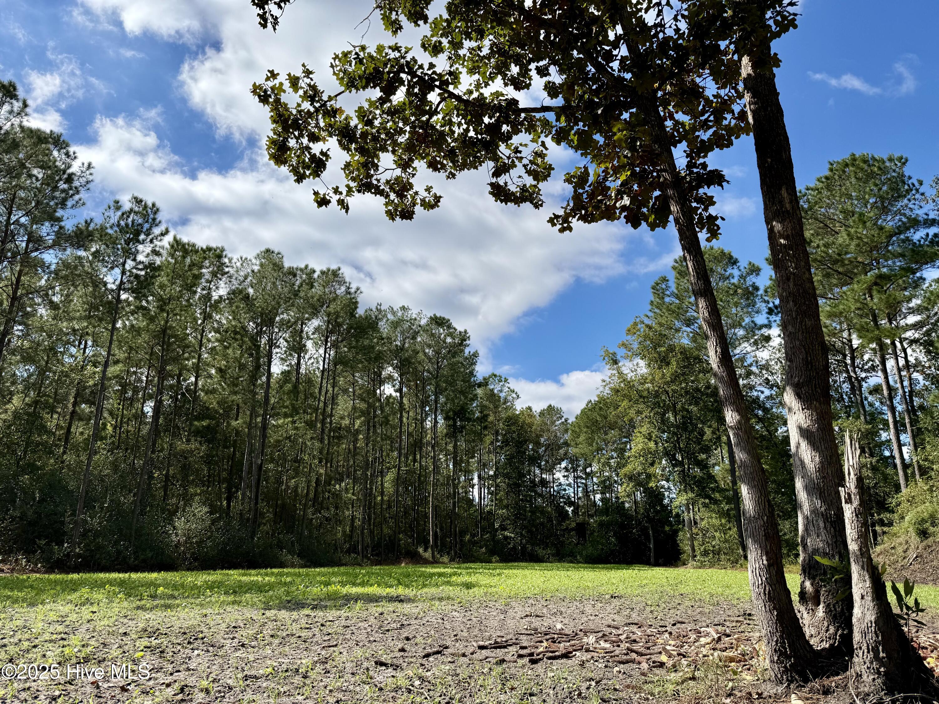 0 Atkinson Cemetery Road Atkinson, NC 28421 - Photo 33 of 73 16b
