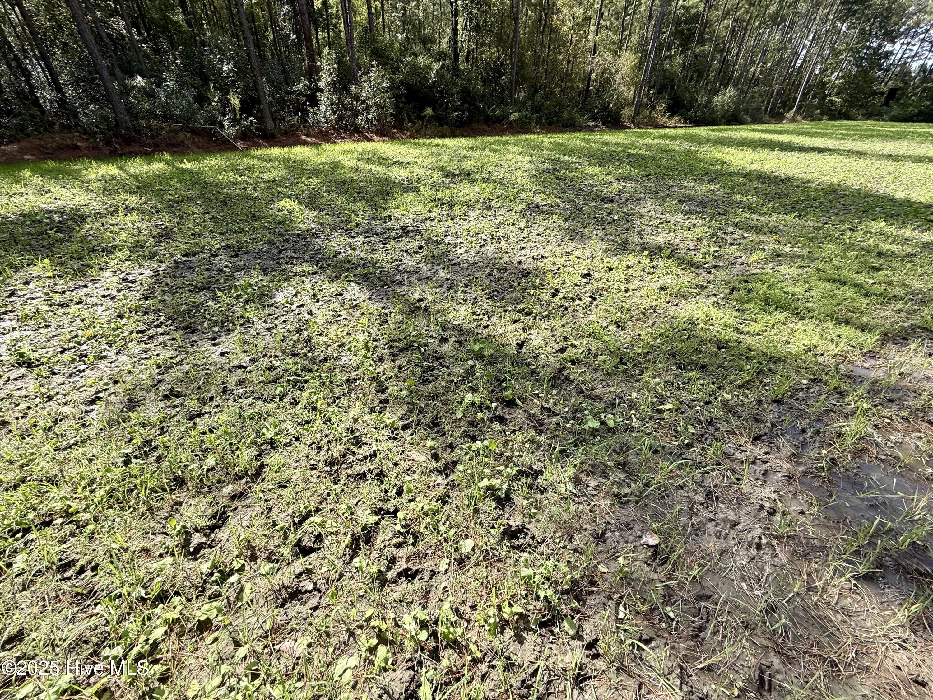 0 Atkinson Cemetery Road Atkinson, NC 28421 - Photo 34 of 73 16c