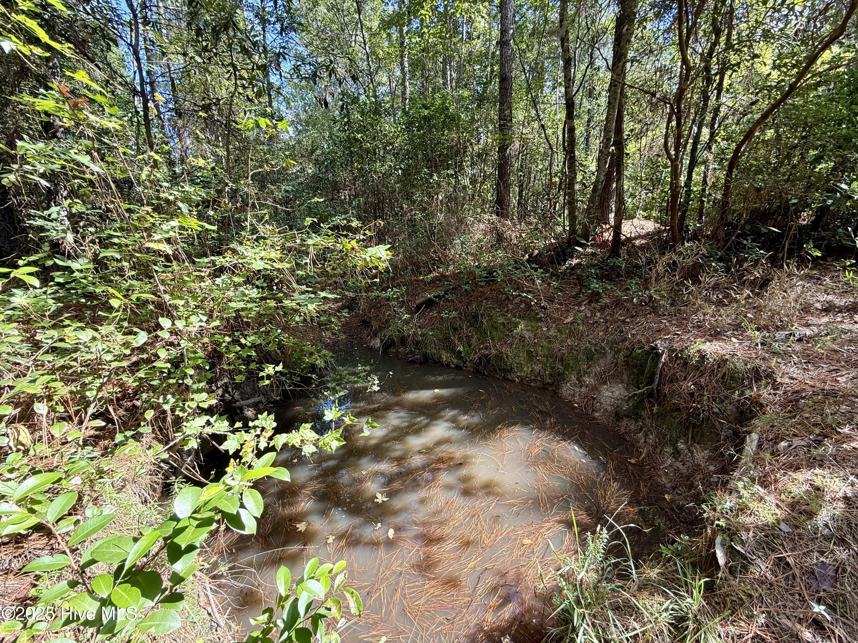 0 Atkinson Cemetery Road Atkinson, NC 28421 - Photo 35 of 73 16d