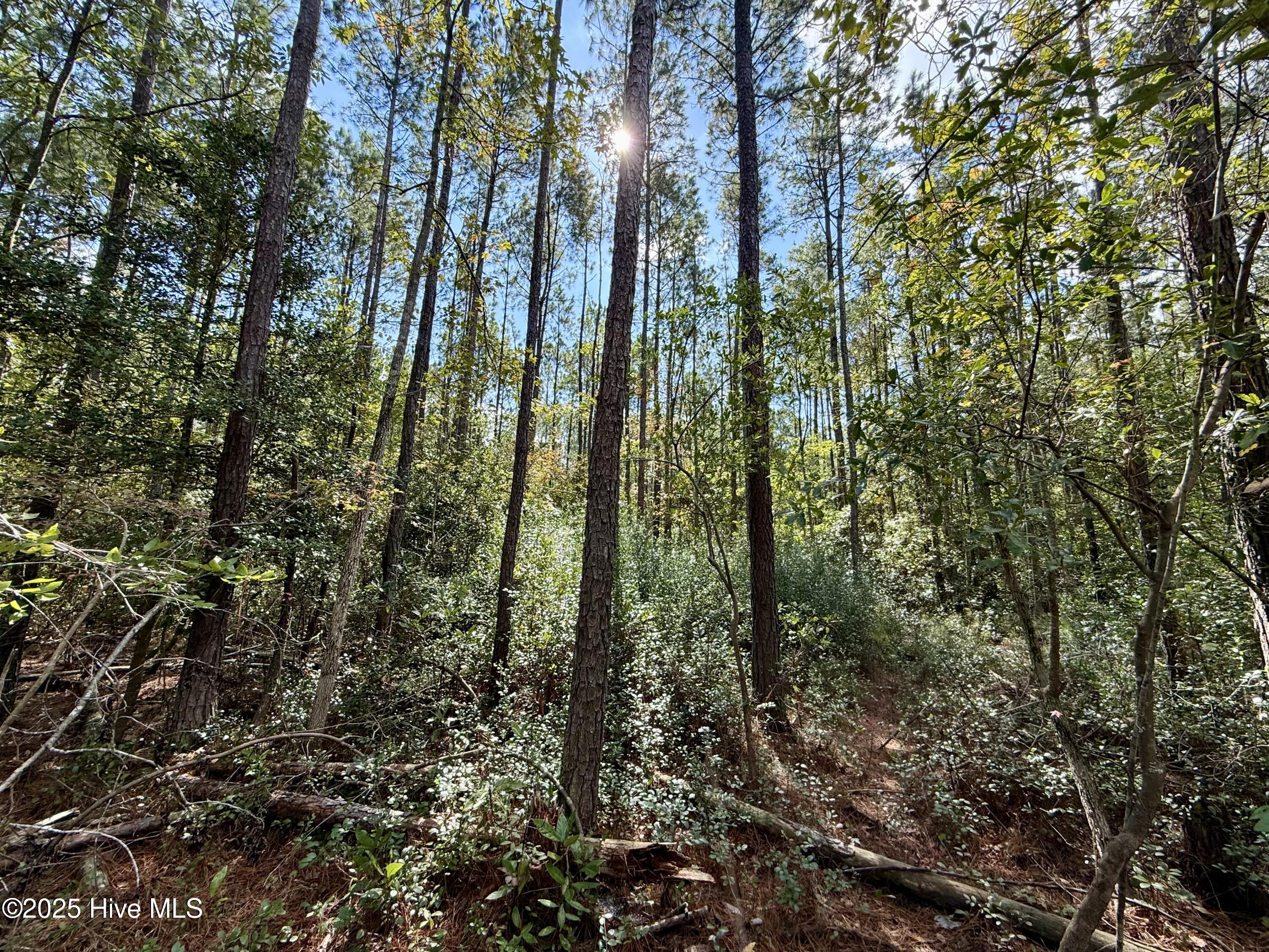 0 Atkinson Cemetery Road Atkinson, NC 28421 - Photo 36 of 73 16e