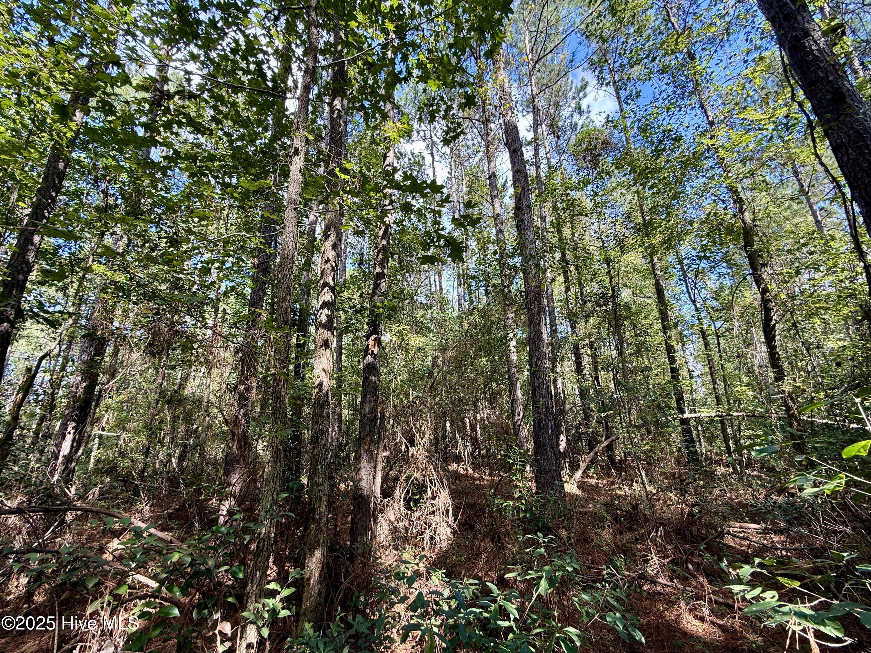 0 Atkinson Cemetery Road Atkinson, NC 28421 - Photo 37 of 73 16f