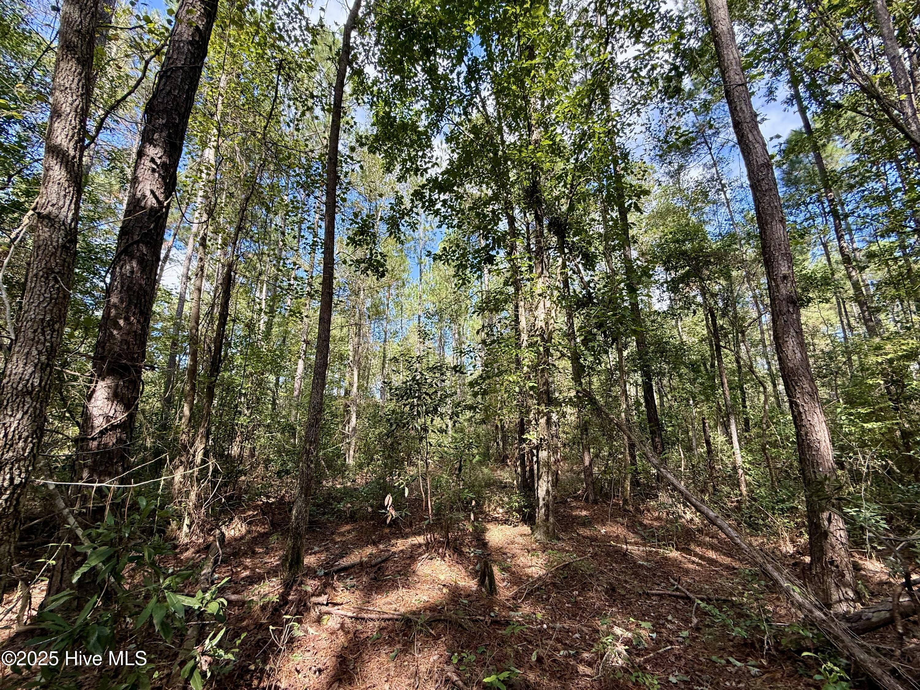 0 Atkinson Cemetery Road Atkinson, NC 28421 - Photo 38 of 73 16g