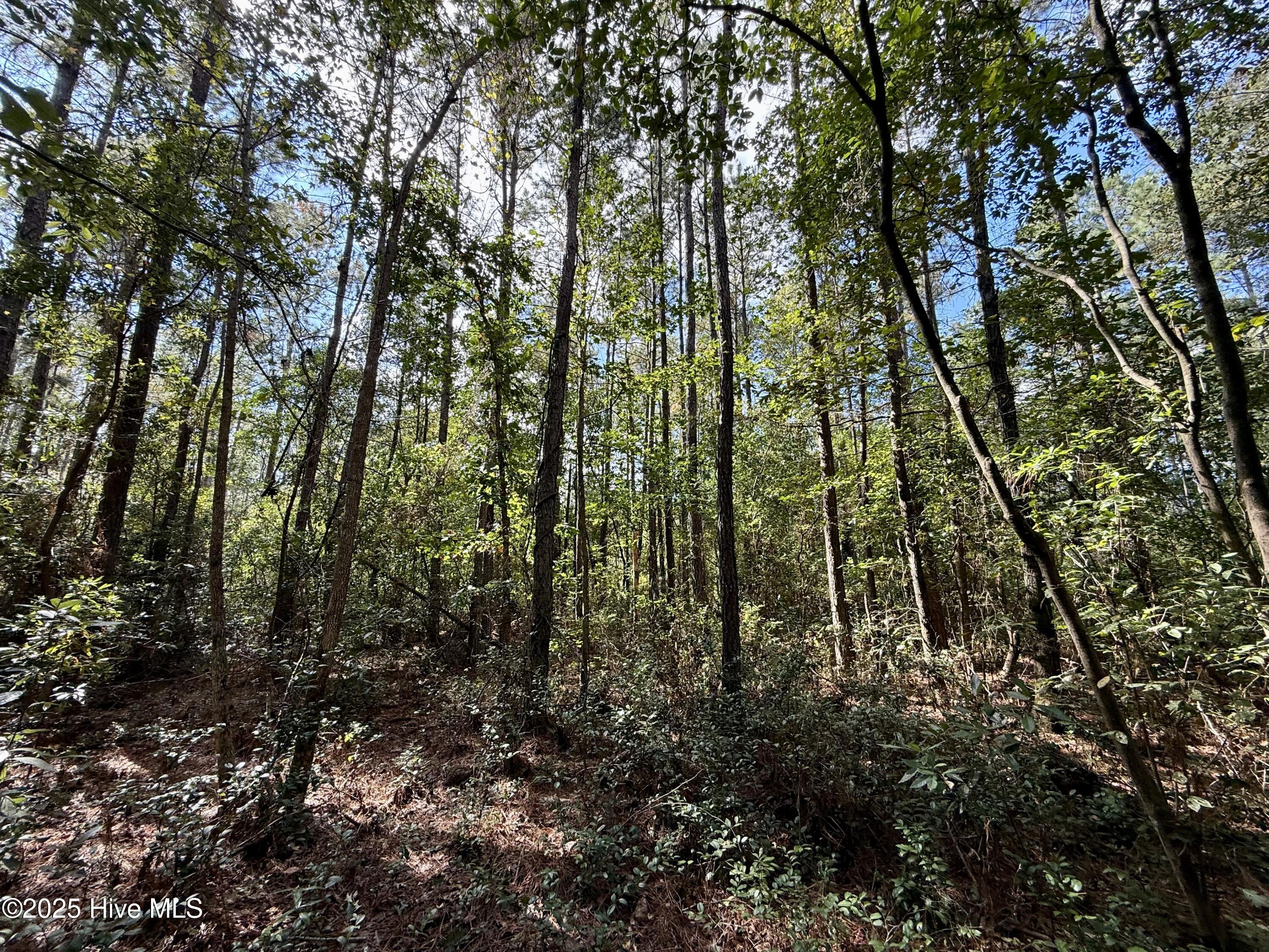 0 Atkinson Cemetery Road Atkinson, NC 28421 - Photo 39 of 73 16h
