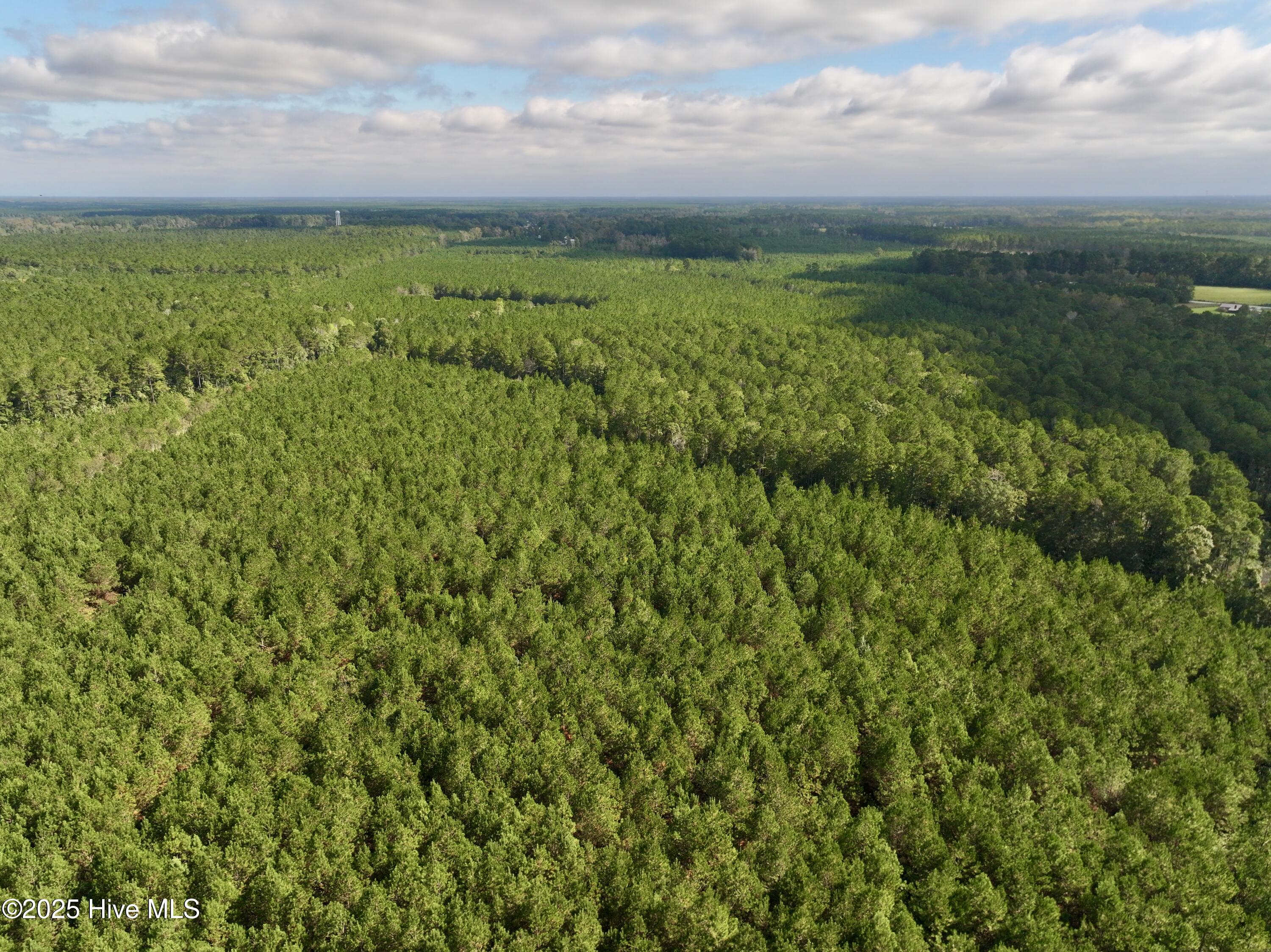 0 Atkinson Cemetery Road Atkinson, NC 28421 - Photo 40 of 73 17
