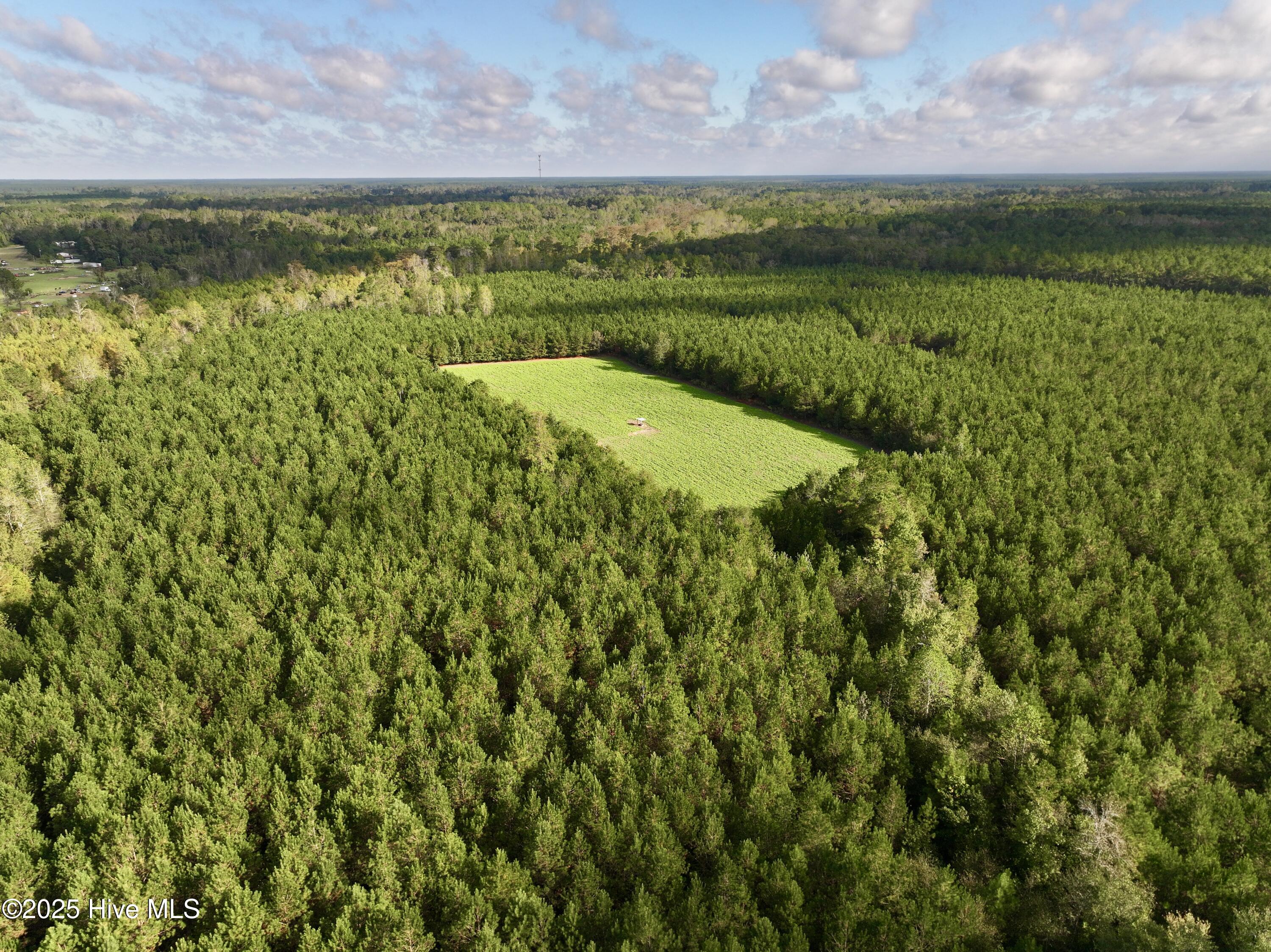 0 Atkinson Cemetery Road Atkinson, NC 28421 - Photo 4 of 73 3
