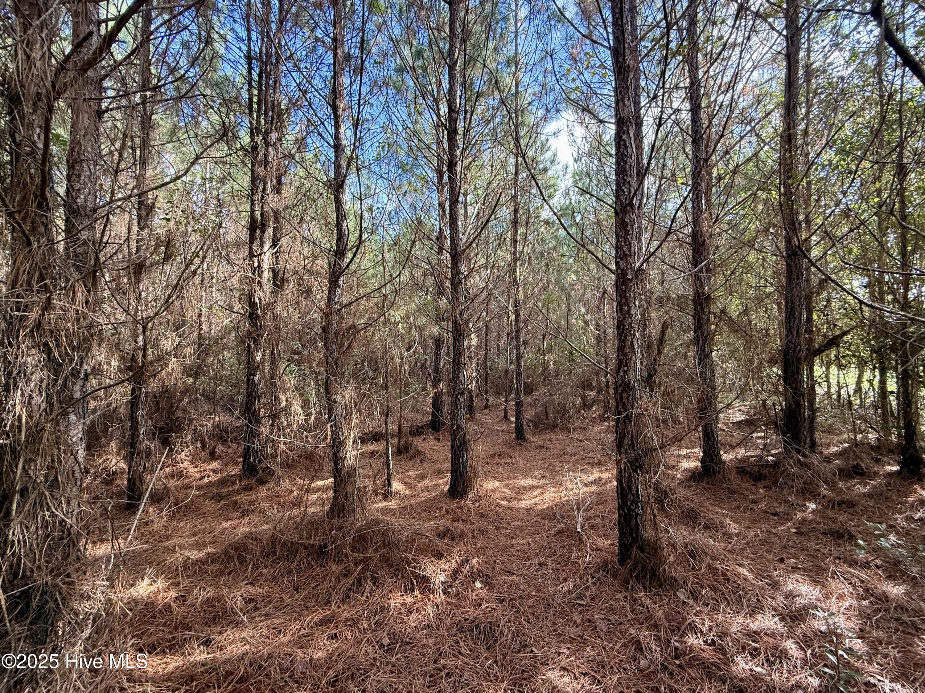0 Atkinson Cemetery Road Atkinson, NC 28421 - Photo 41 of 73 17a