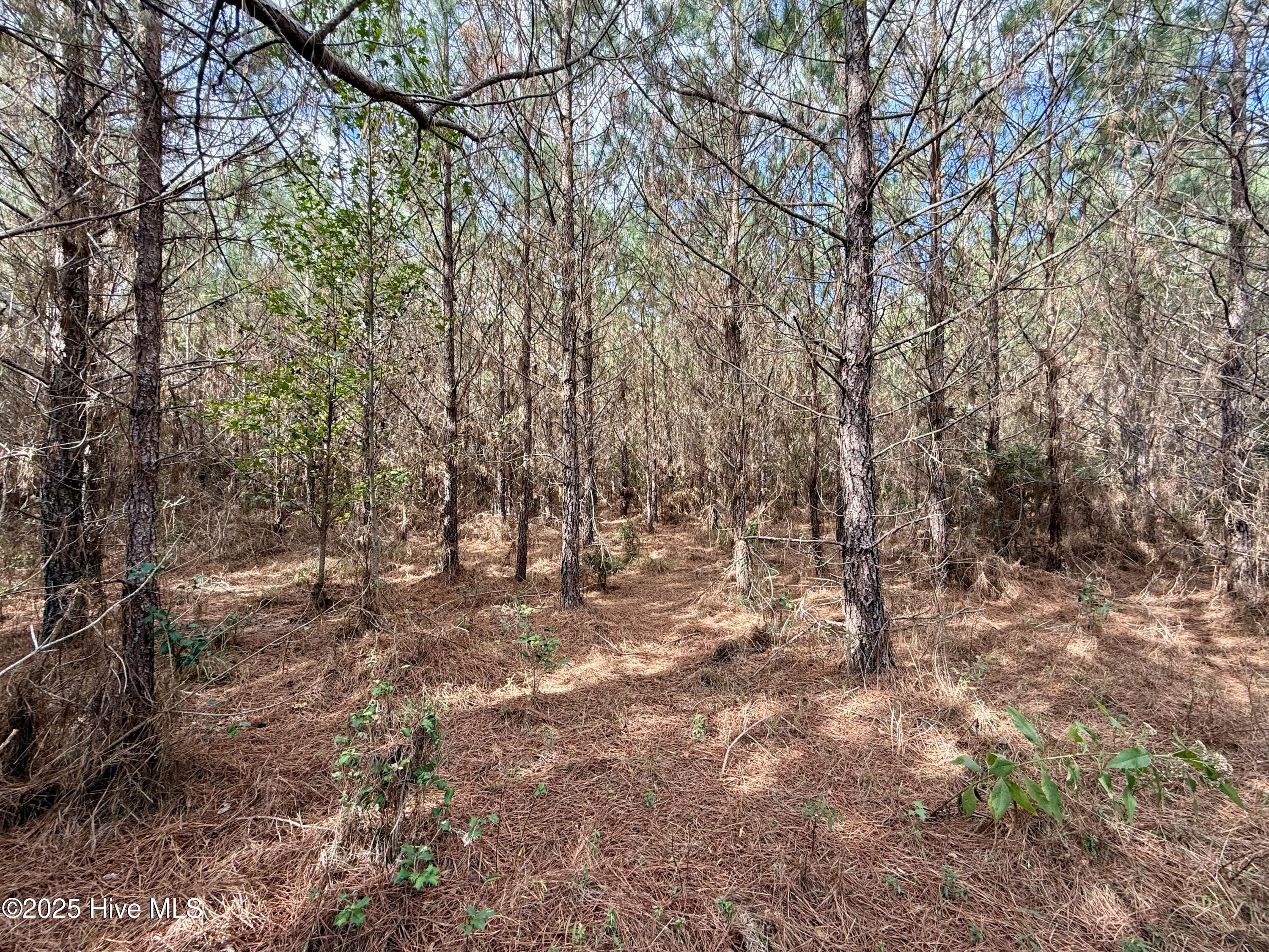 0 Atkinson Cemetery Road Atkinson, NC 28421 - Photo 42 of 73 17b