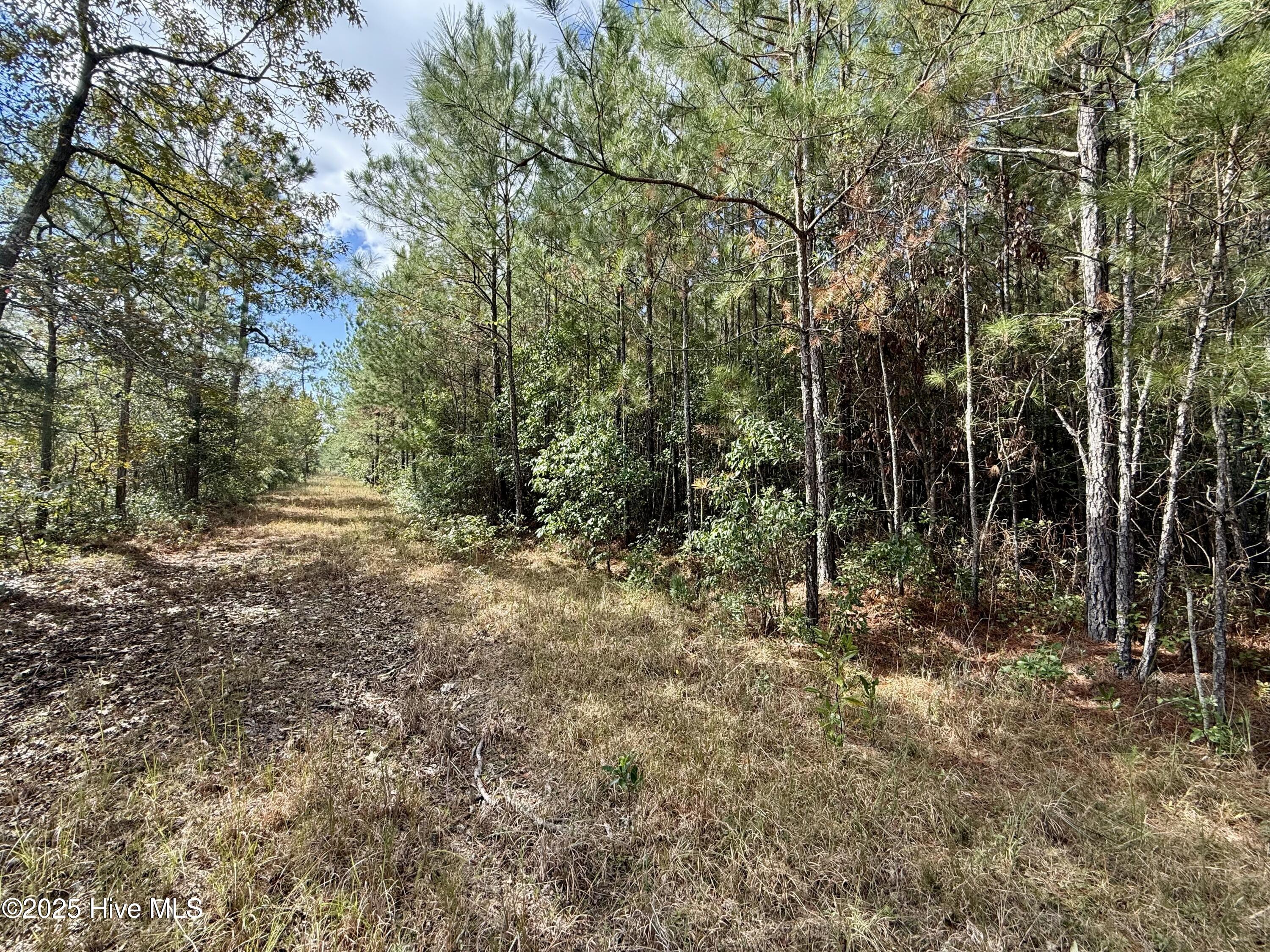 0 Atkinson Cemetery Road Atkinson, NC 28421 - Photo 43 of 73 17c