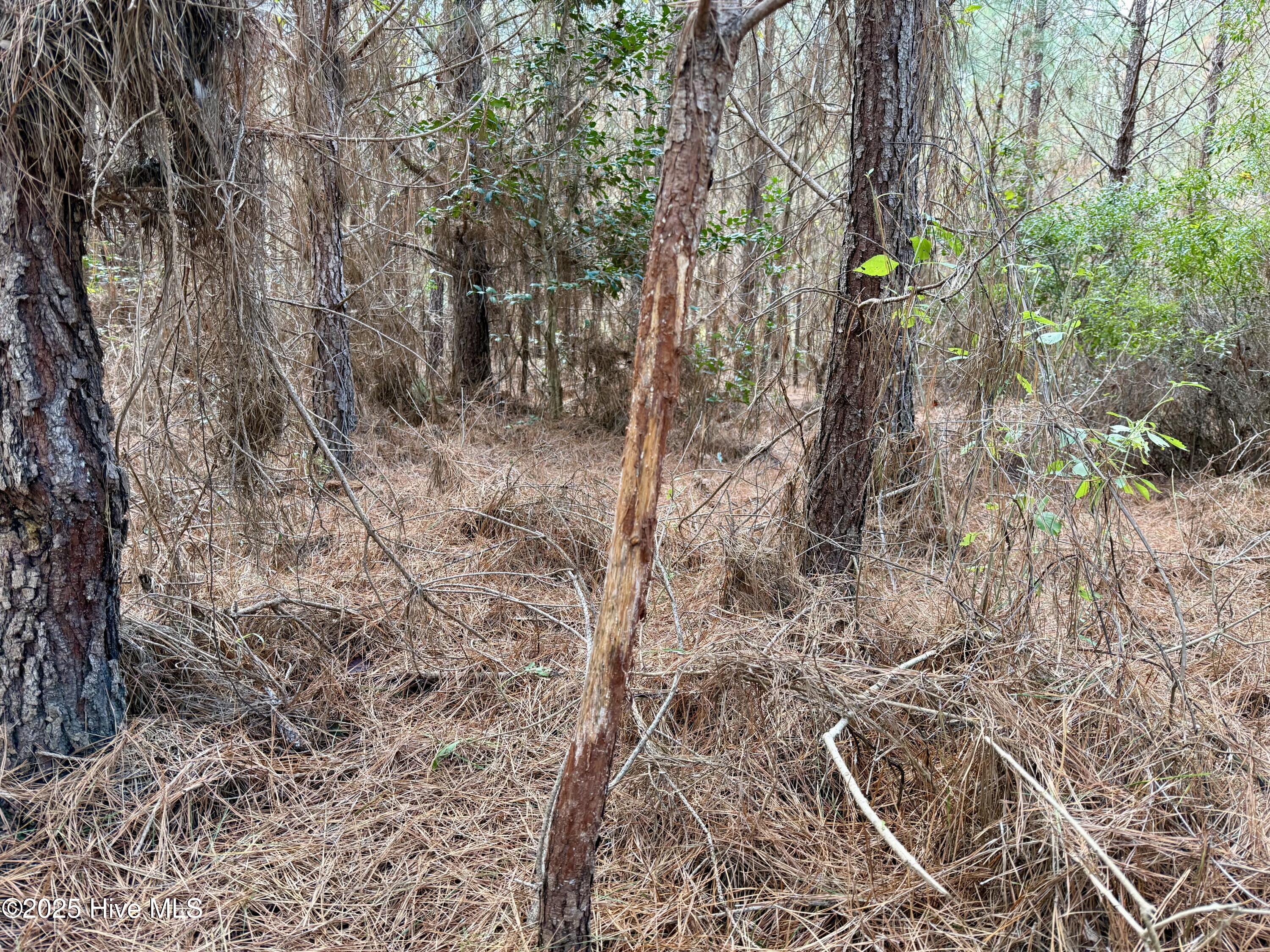 0 Atkinson Cemetery Road Atkinson, NC 28421 - Photo 44 of 73 17d