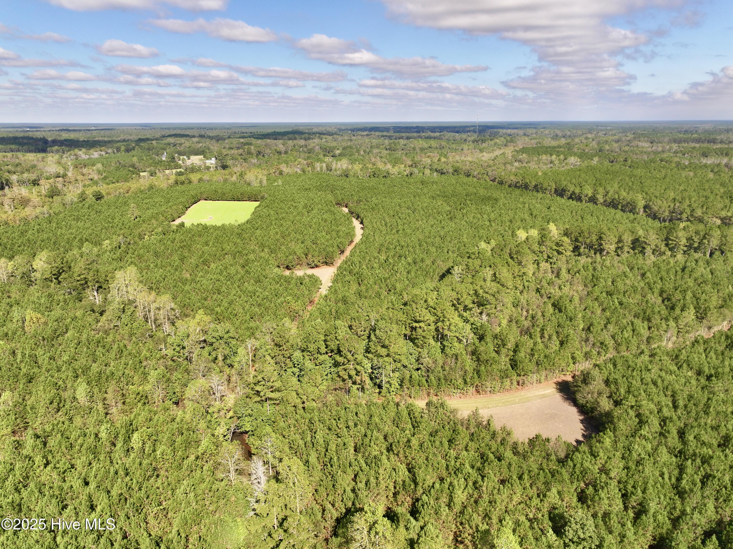 0 Atkinson Cemetery Road Atkinson, NC 28421 - Photo 45 of 73 18