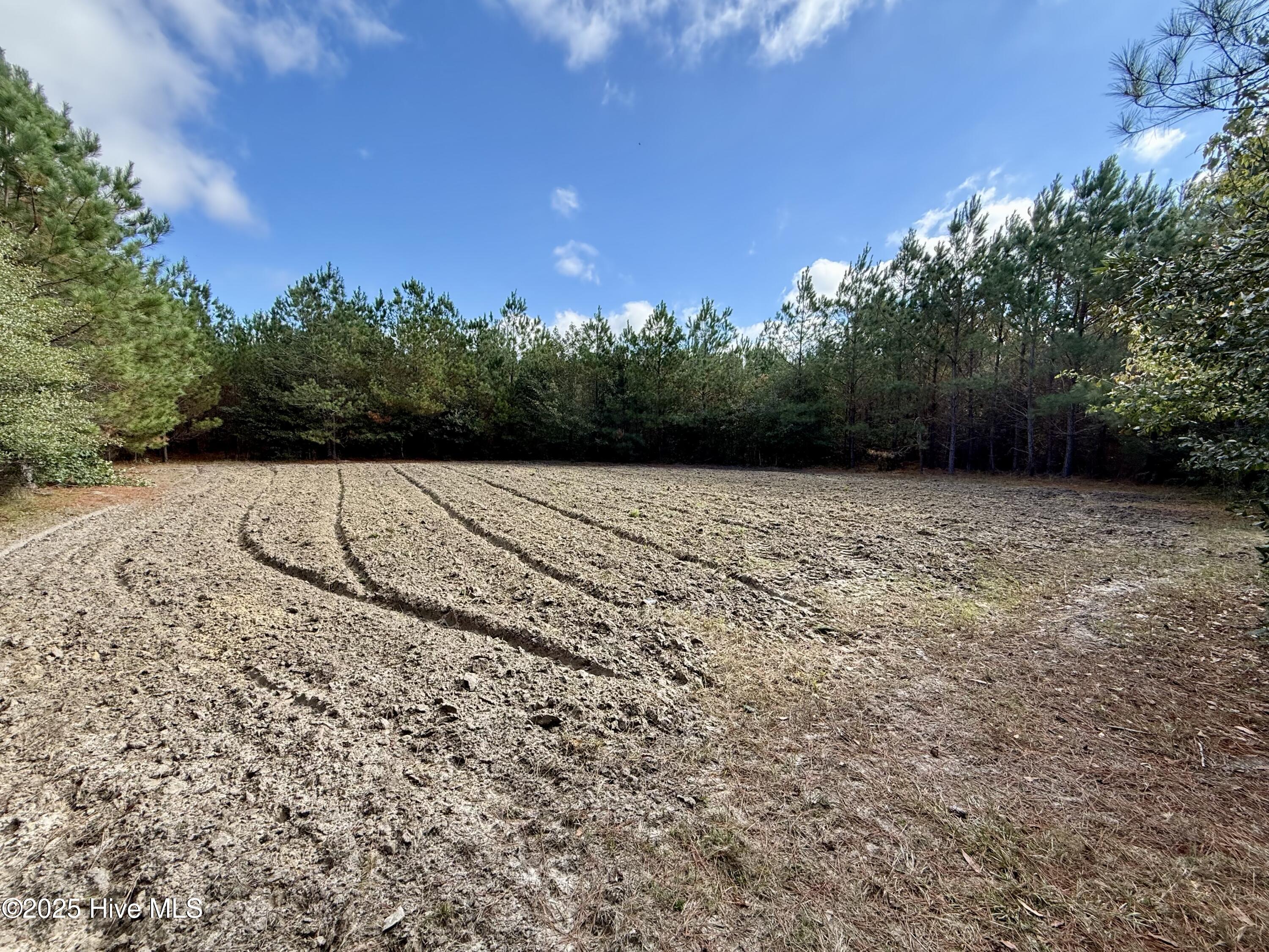 0 Atkinson Cemetery Road Atkinson, NC 28421 - Photo 47 of 73 18b