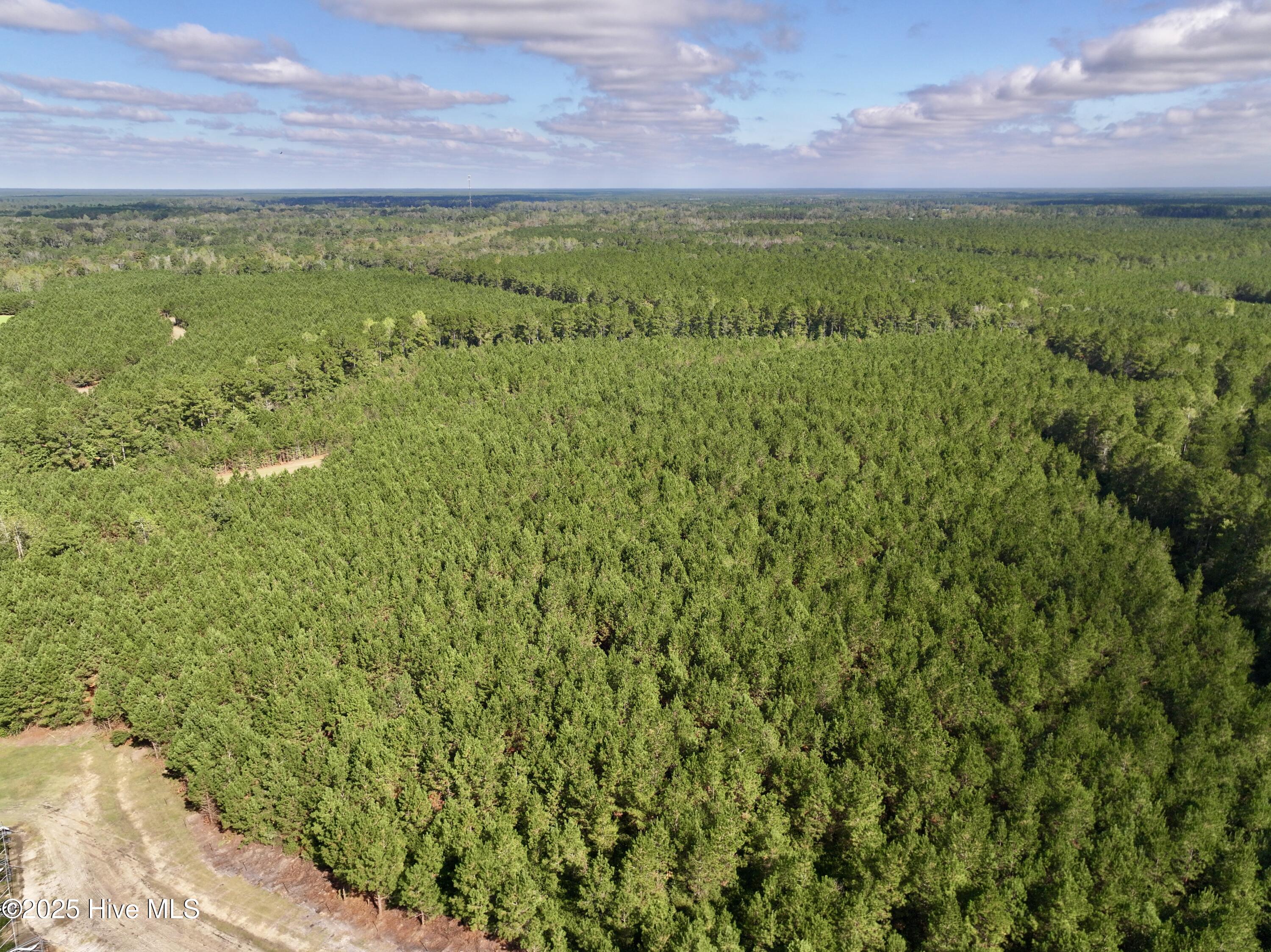 0 Atkinson Cemetery Road Atkinson, NC 28421 - Photo 48 of 73 19